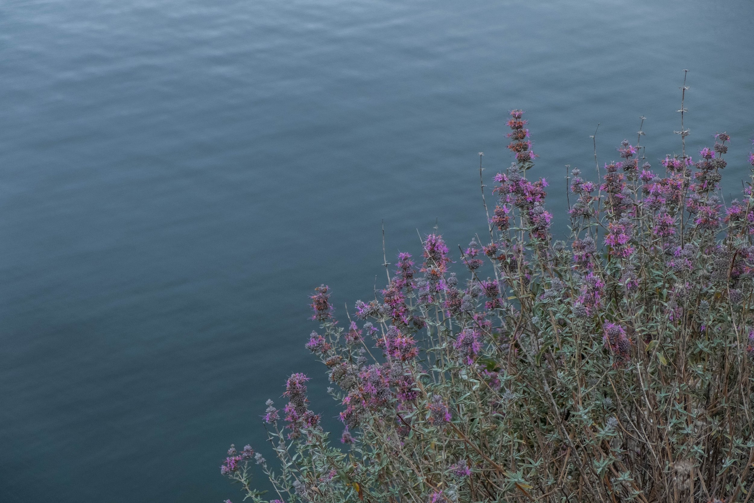 DSCF9836.jpg
