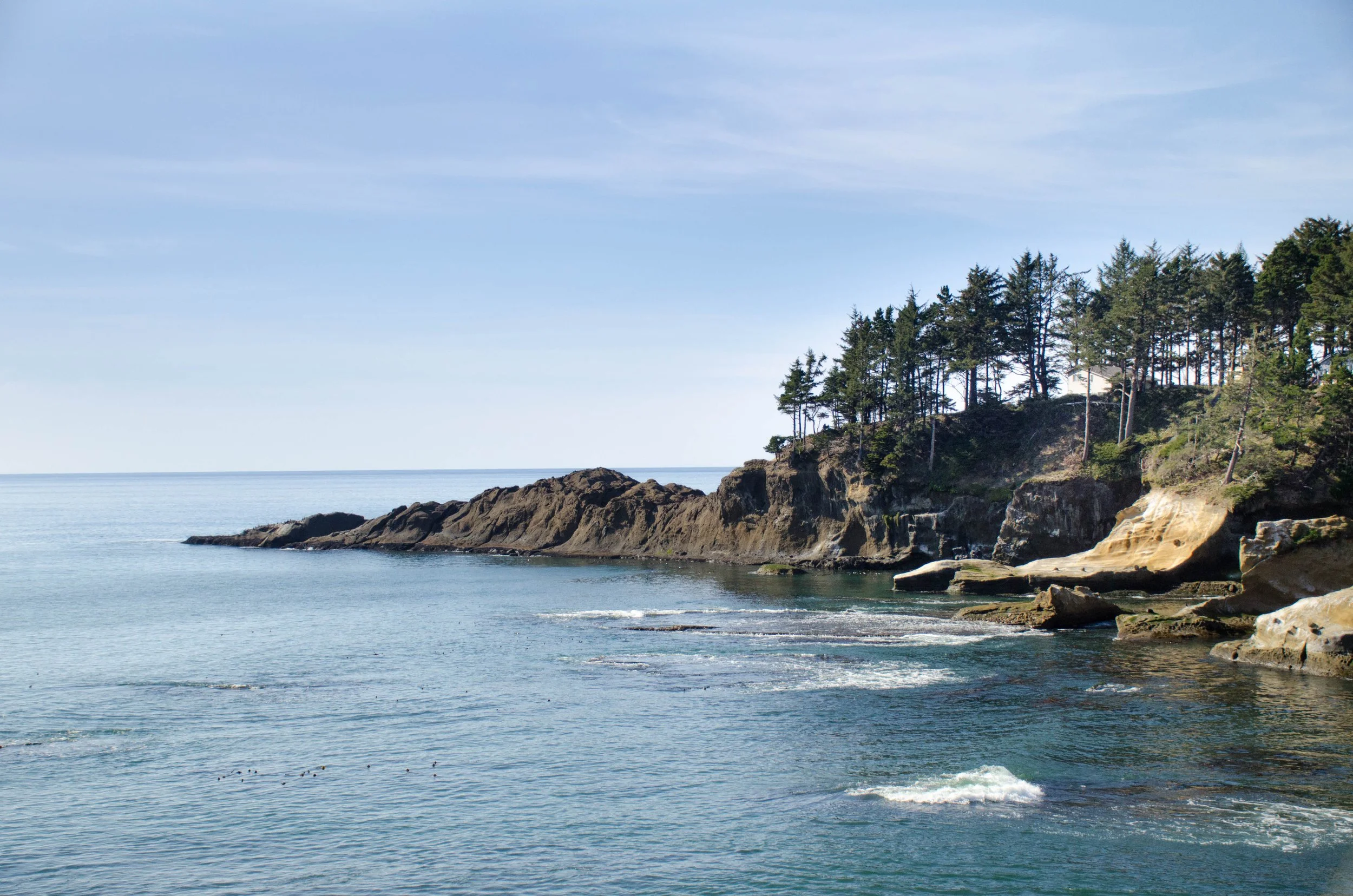 DSC_1883.jpg