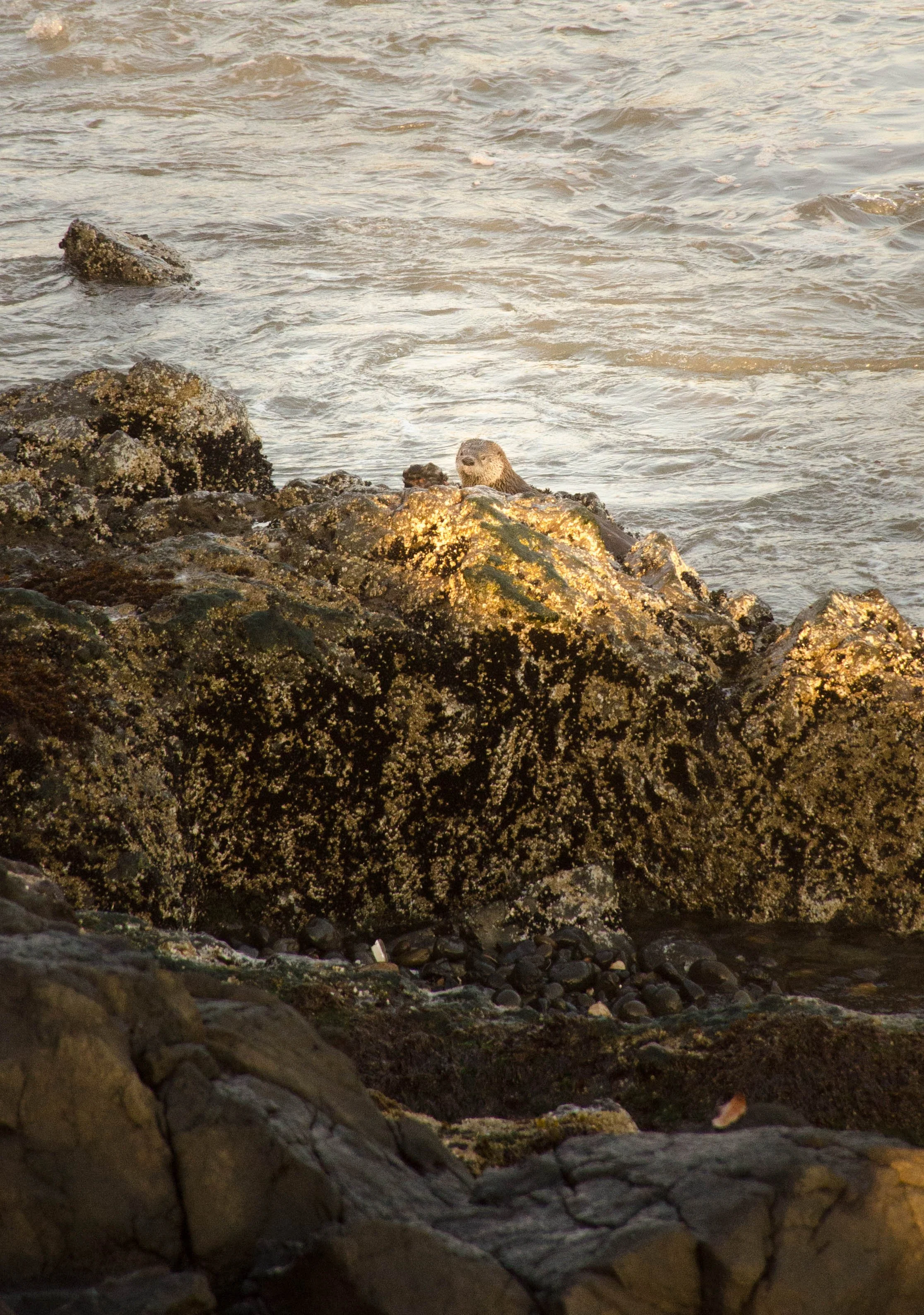 DSC_8910.jpg