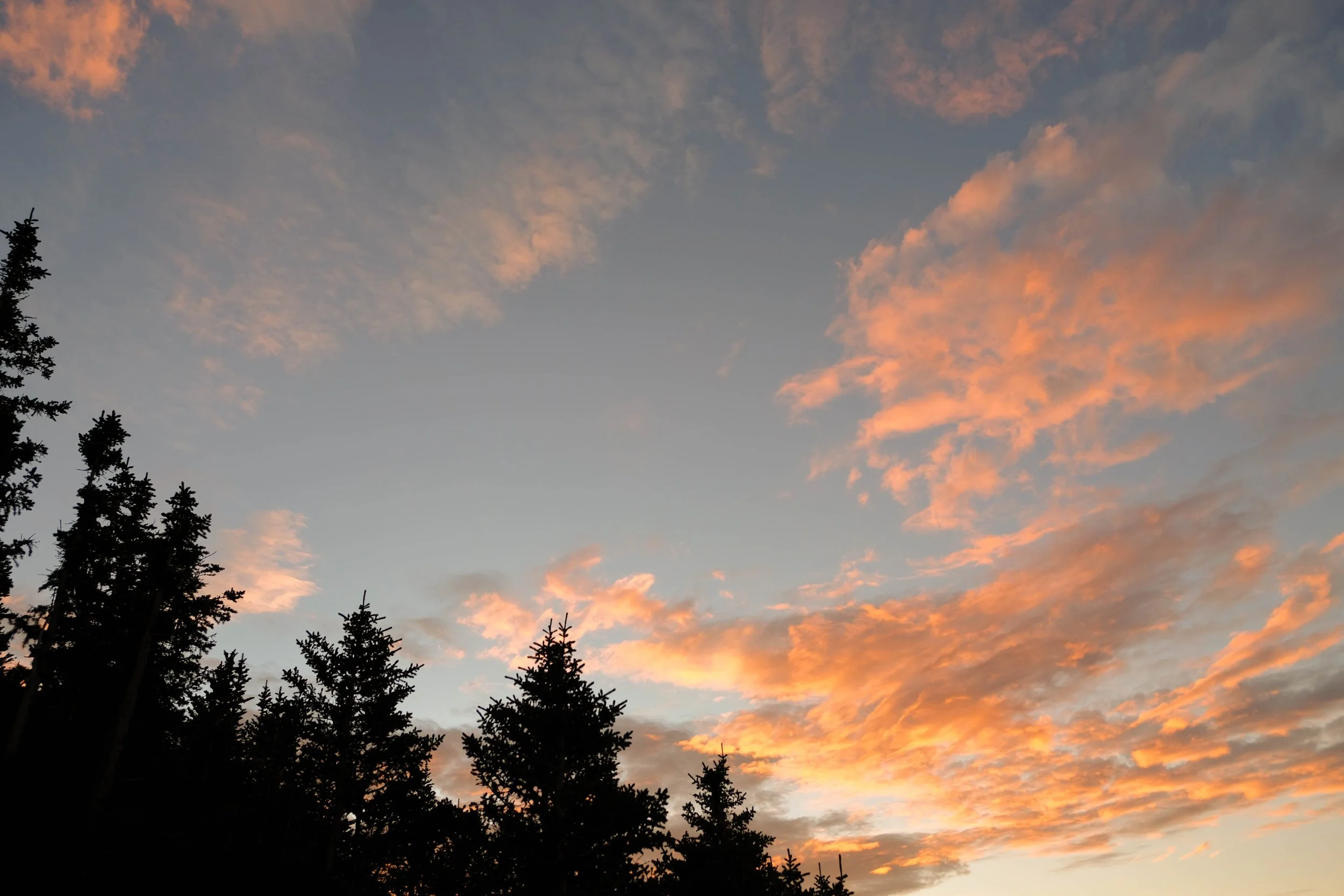 DSCF2703.jpg