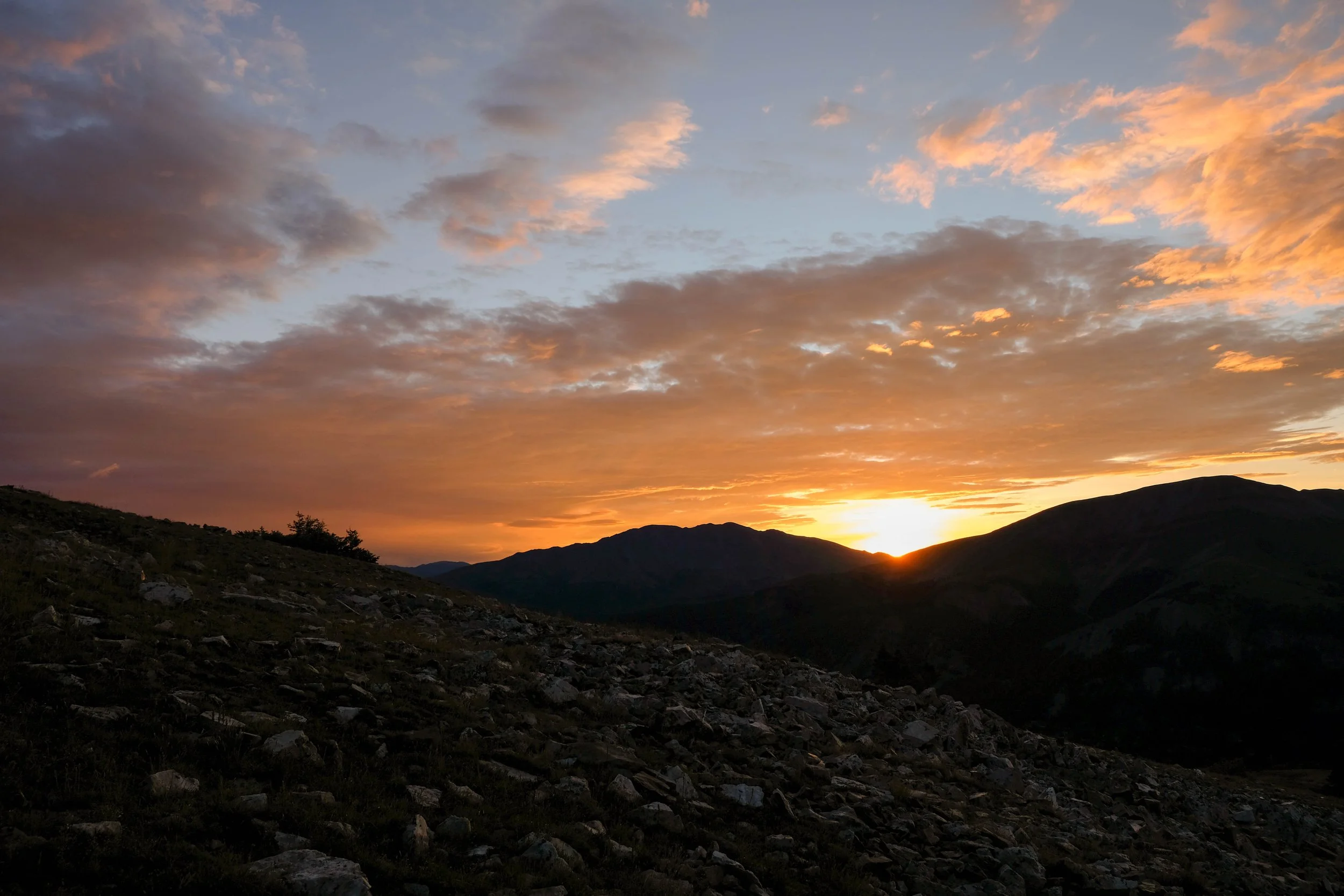 DSCF2706.jpg