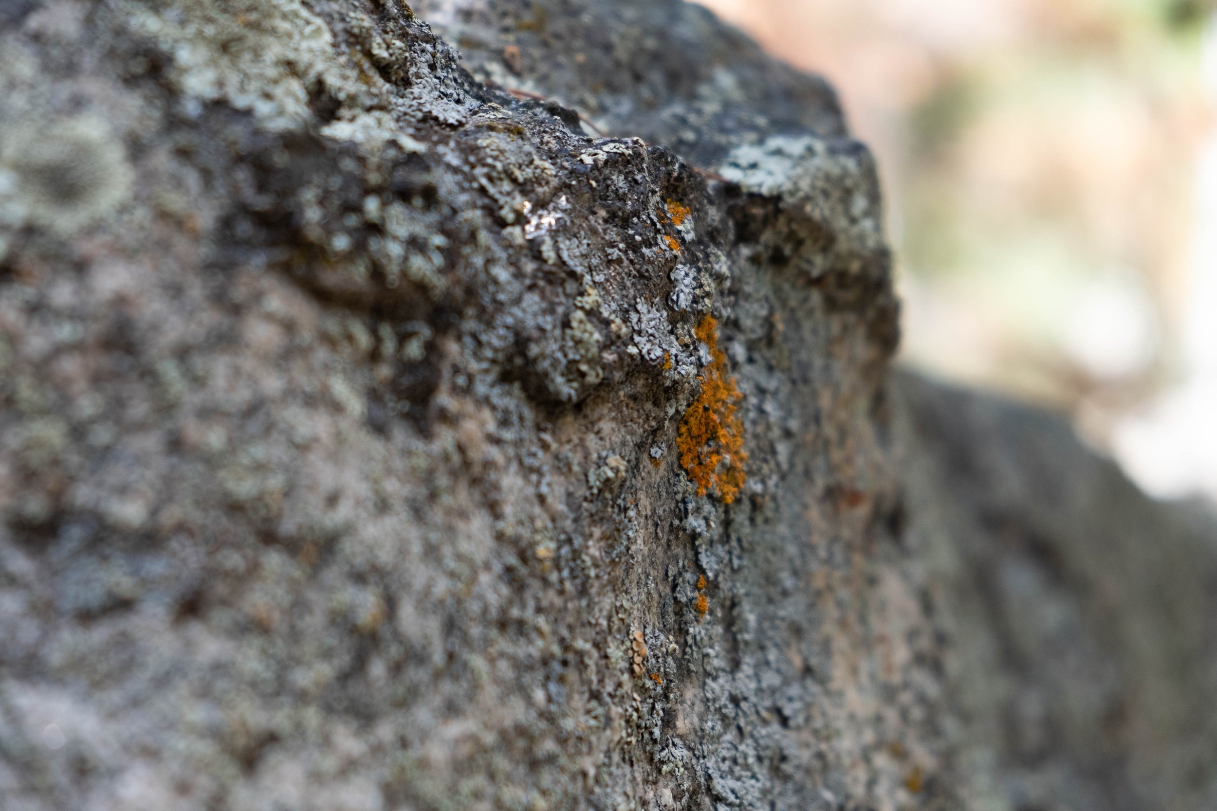 DSCF9925.jpg
