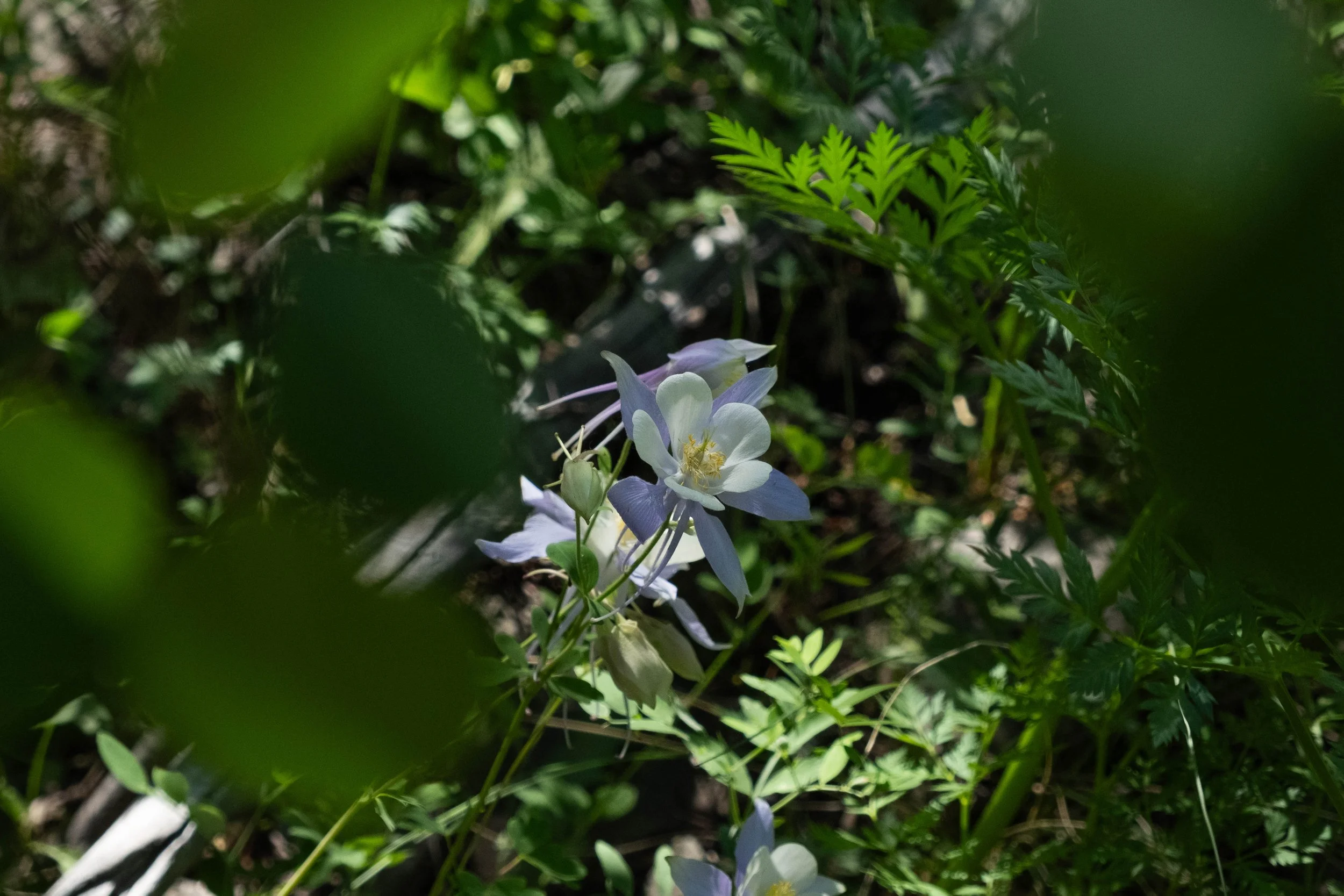 DSCF9973.jpg
