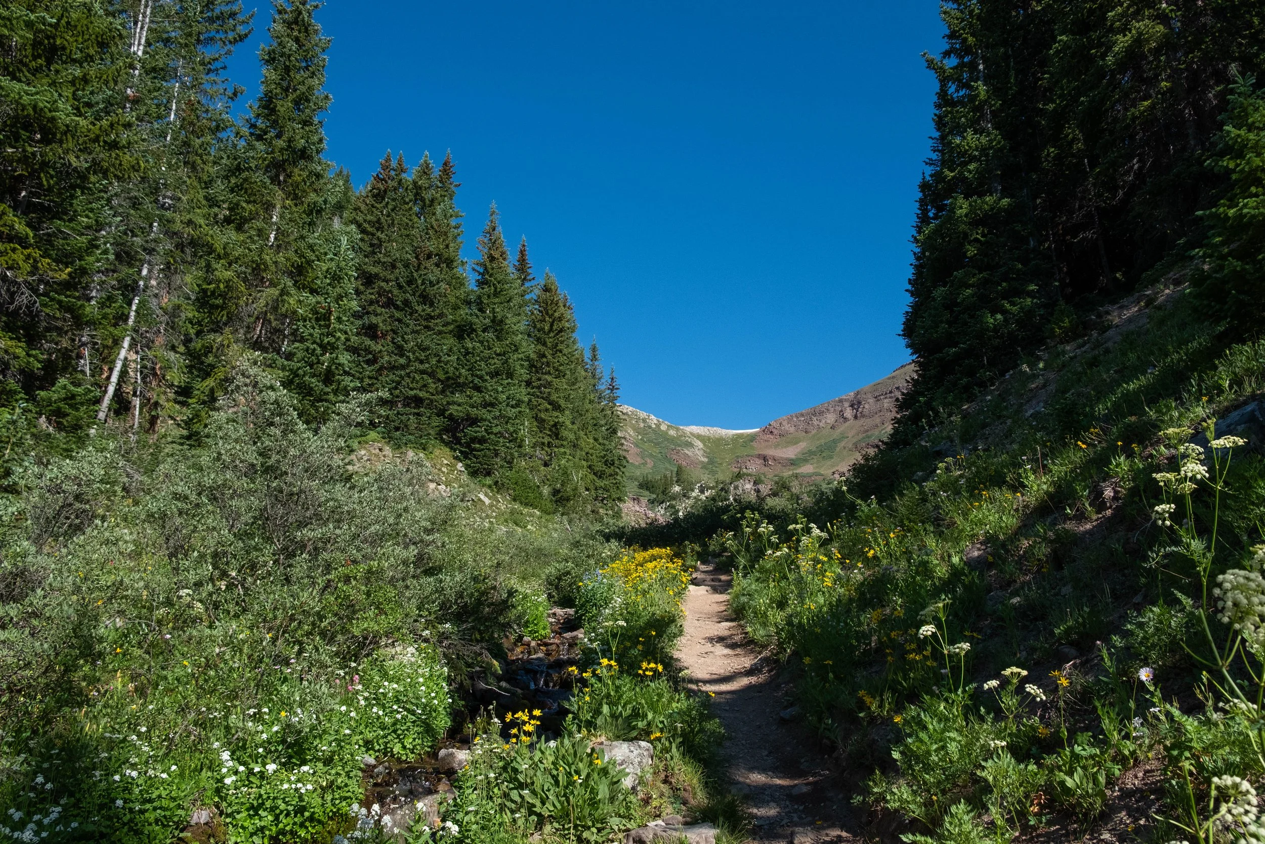 DSCF0212.jpg