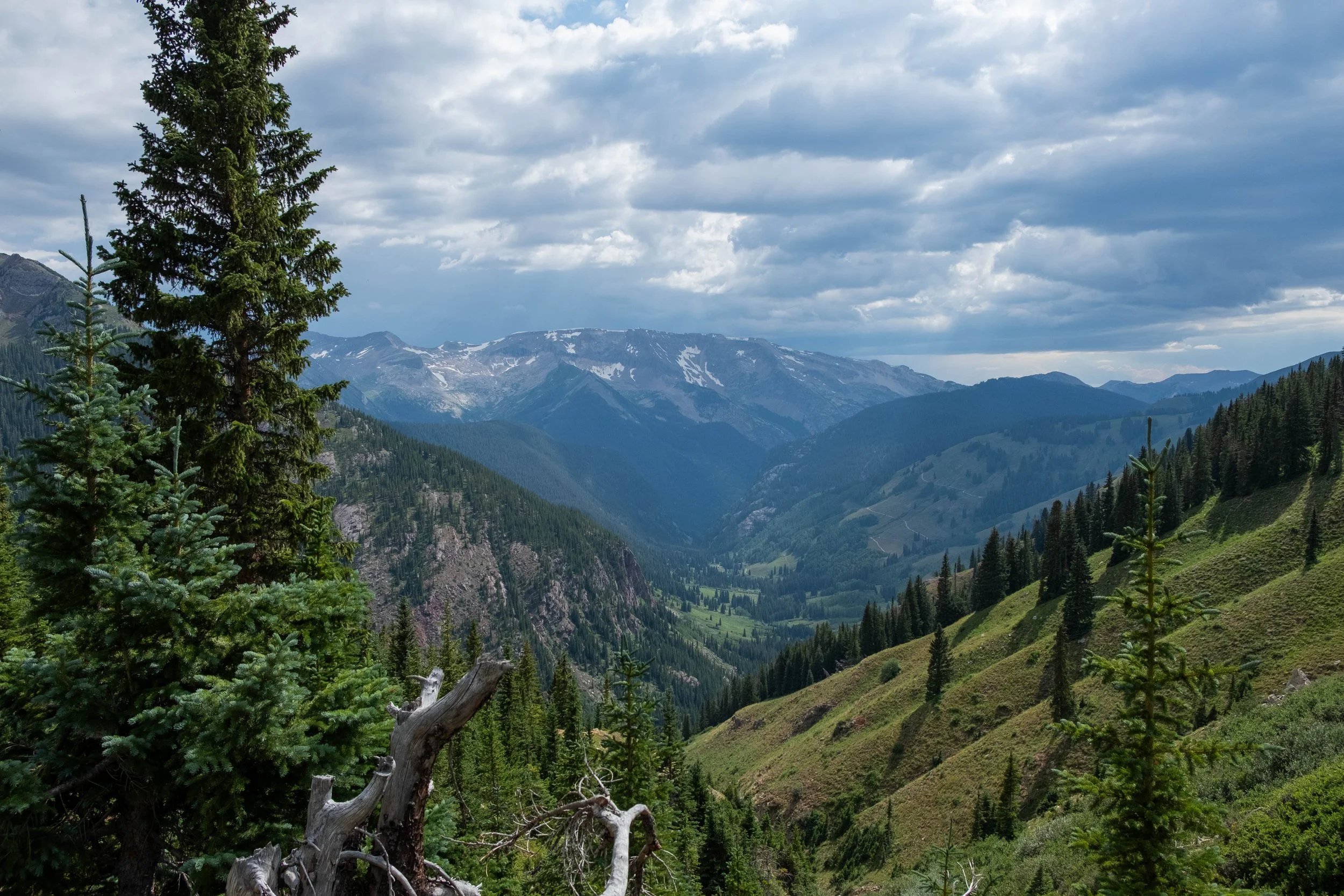 DSCF0286.jpg