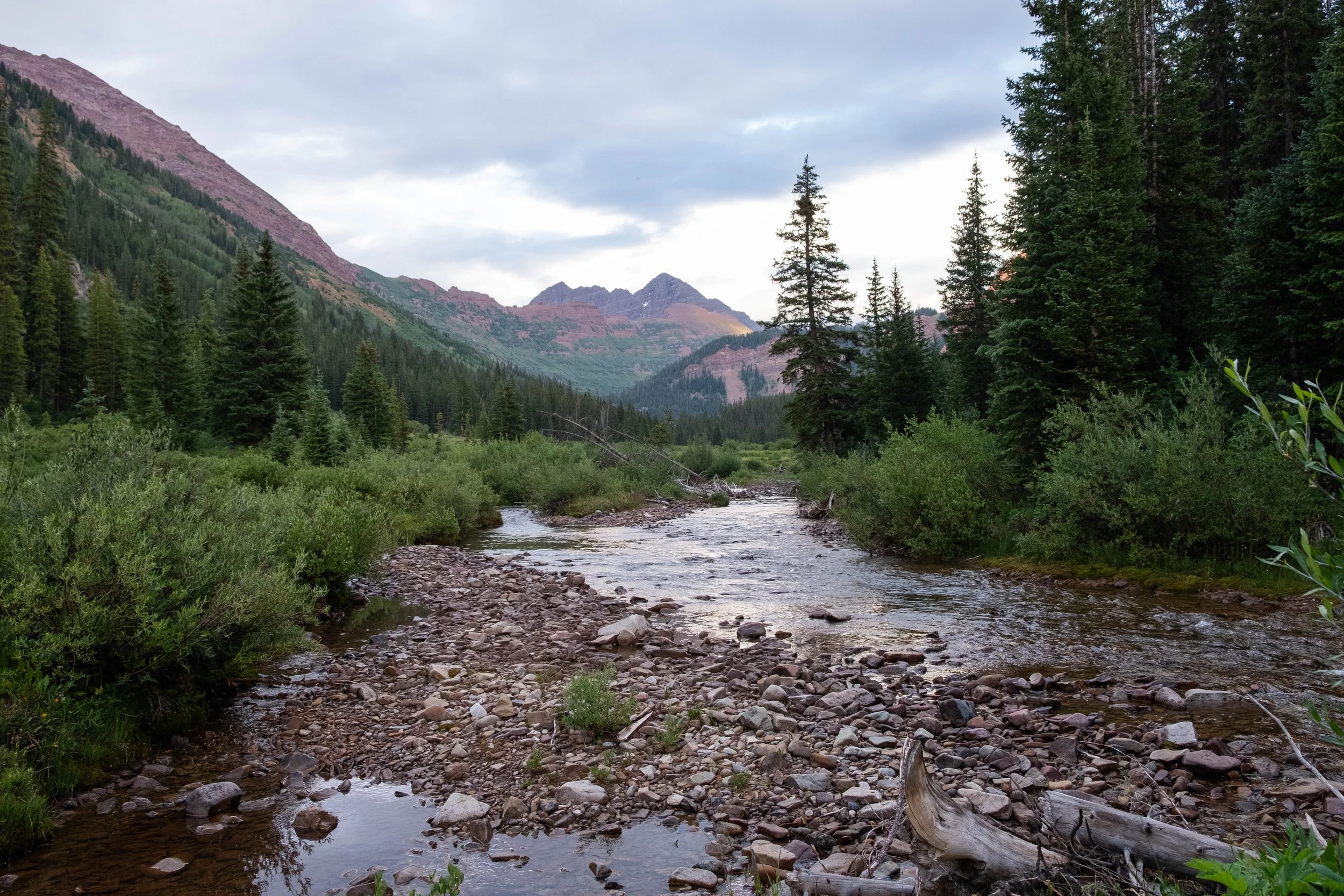 DSCF0297.jpg
