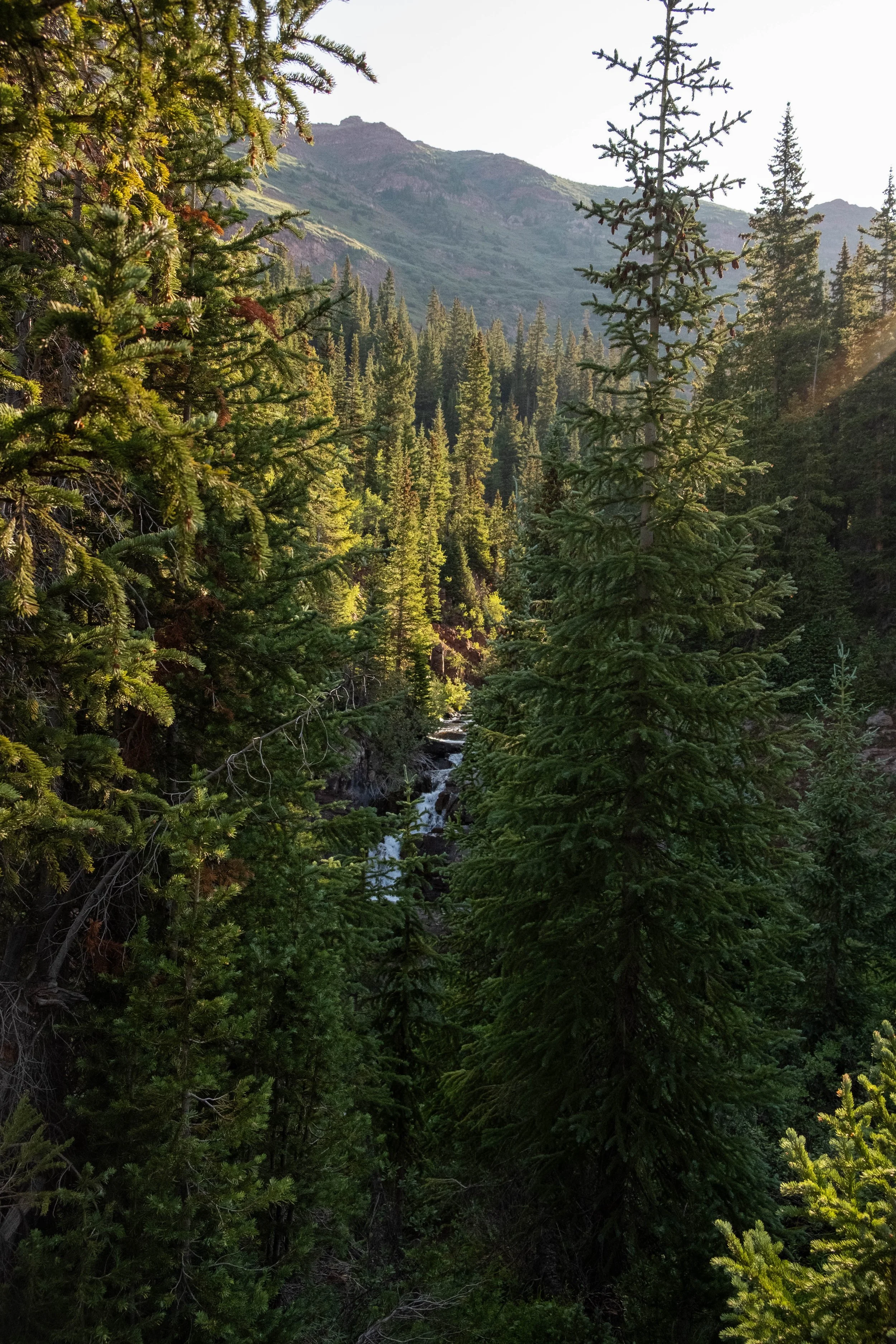 DSCF0329.jpg