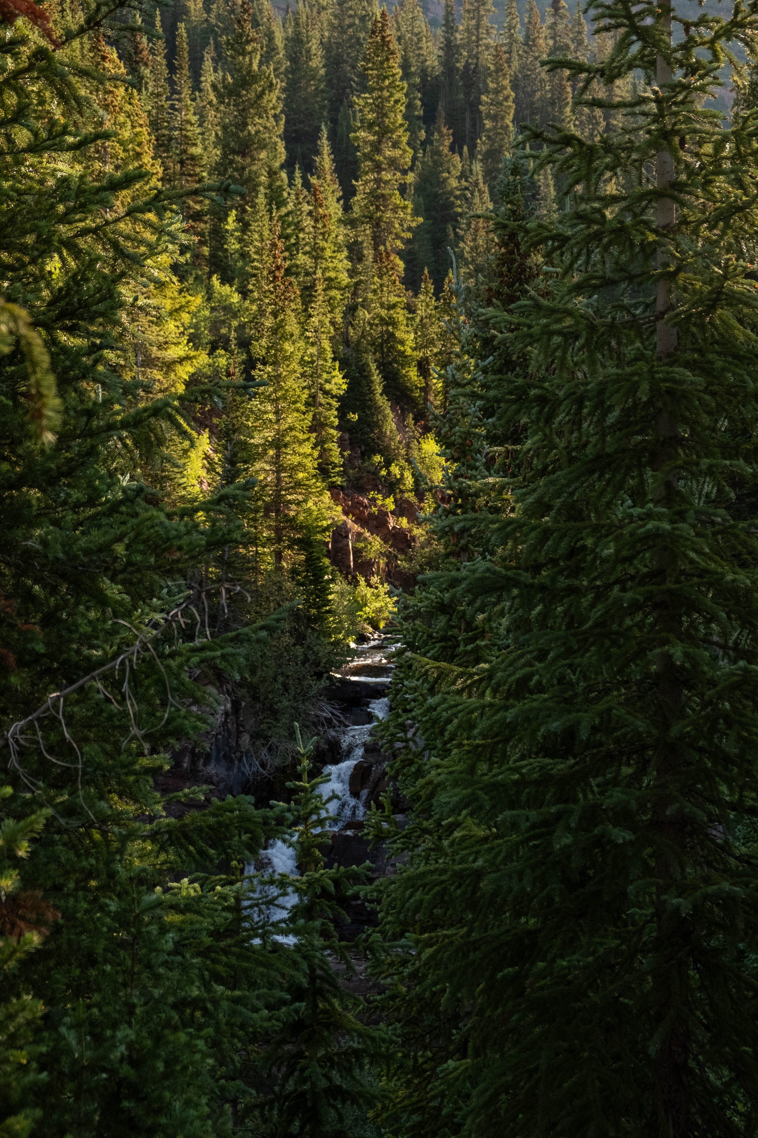 DSCF0330.jpg