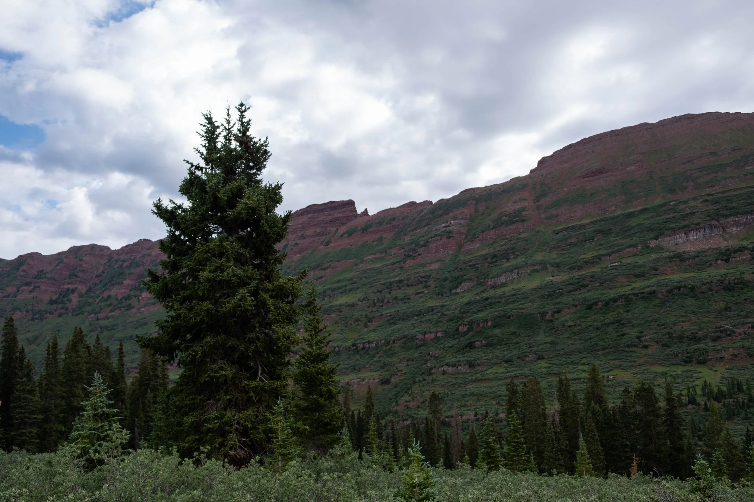 DSCF0336.jpg