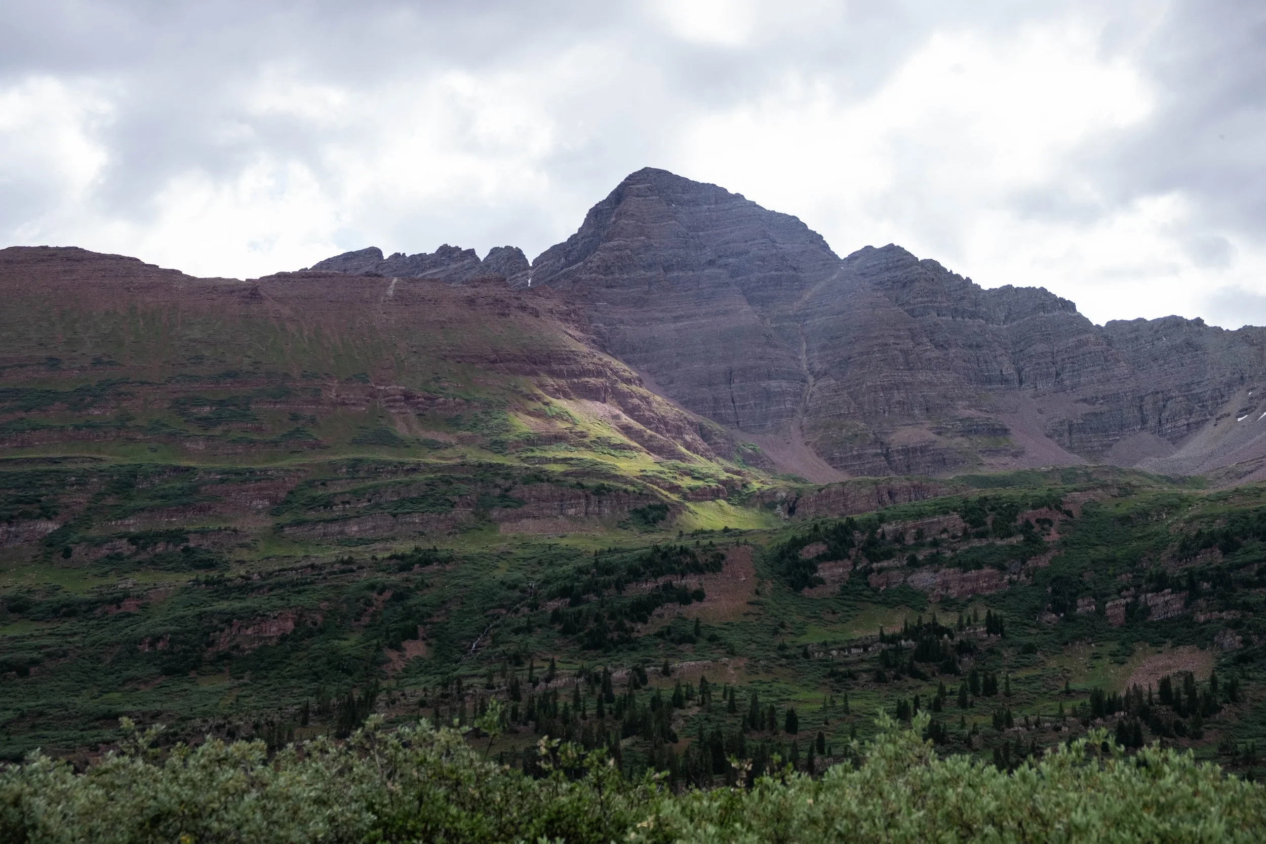 DSCF0337.jpg