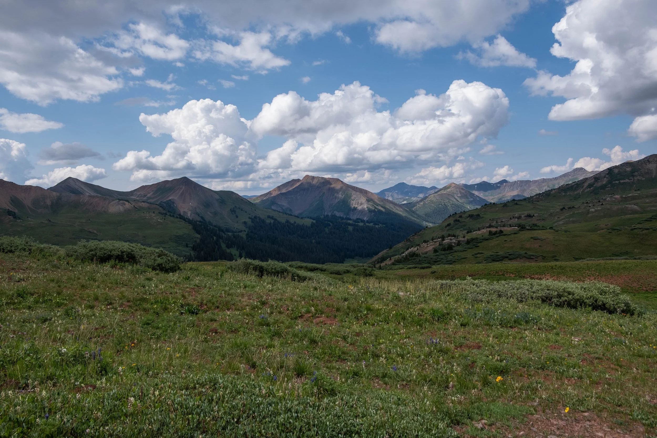 DSCF0351.jpg