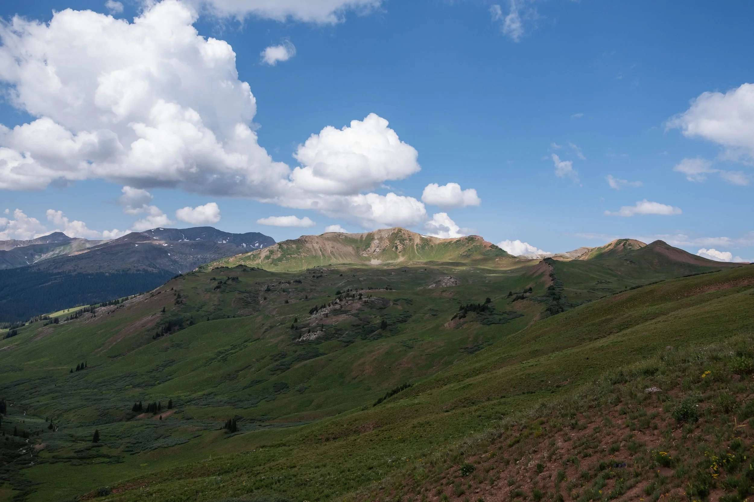 DSCF0355.jpg