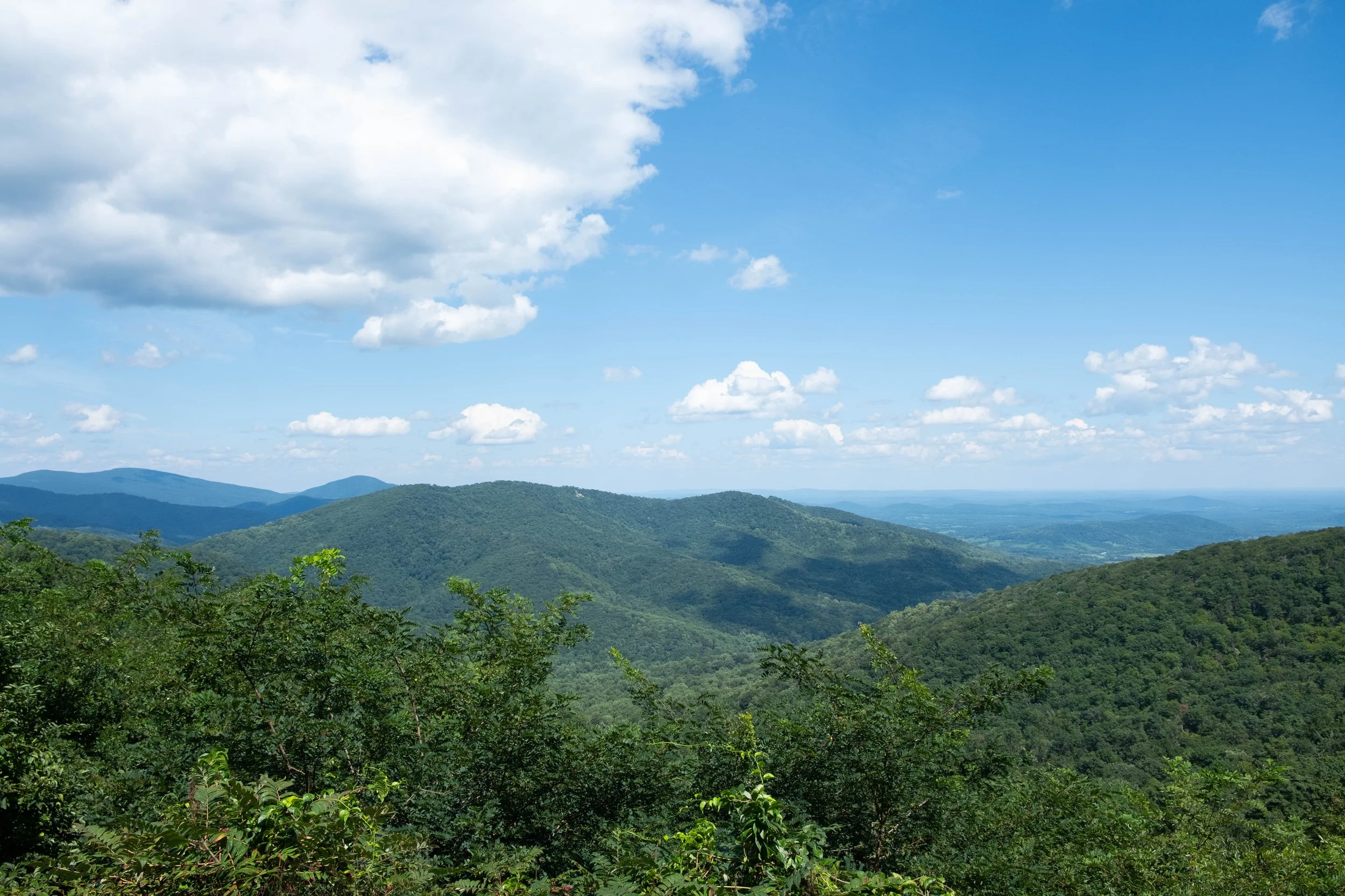 DSCF0388.jpg