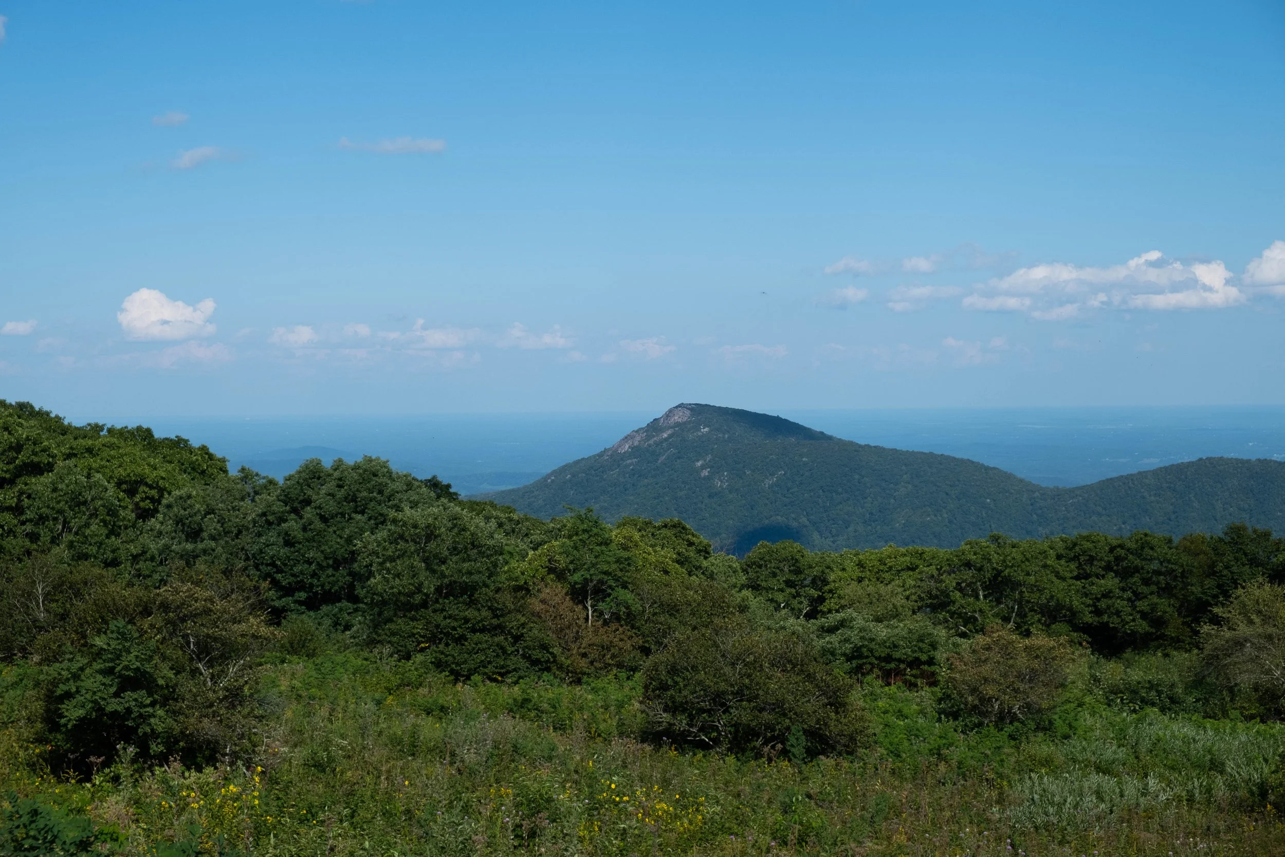 DSCF0400.jpg