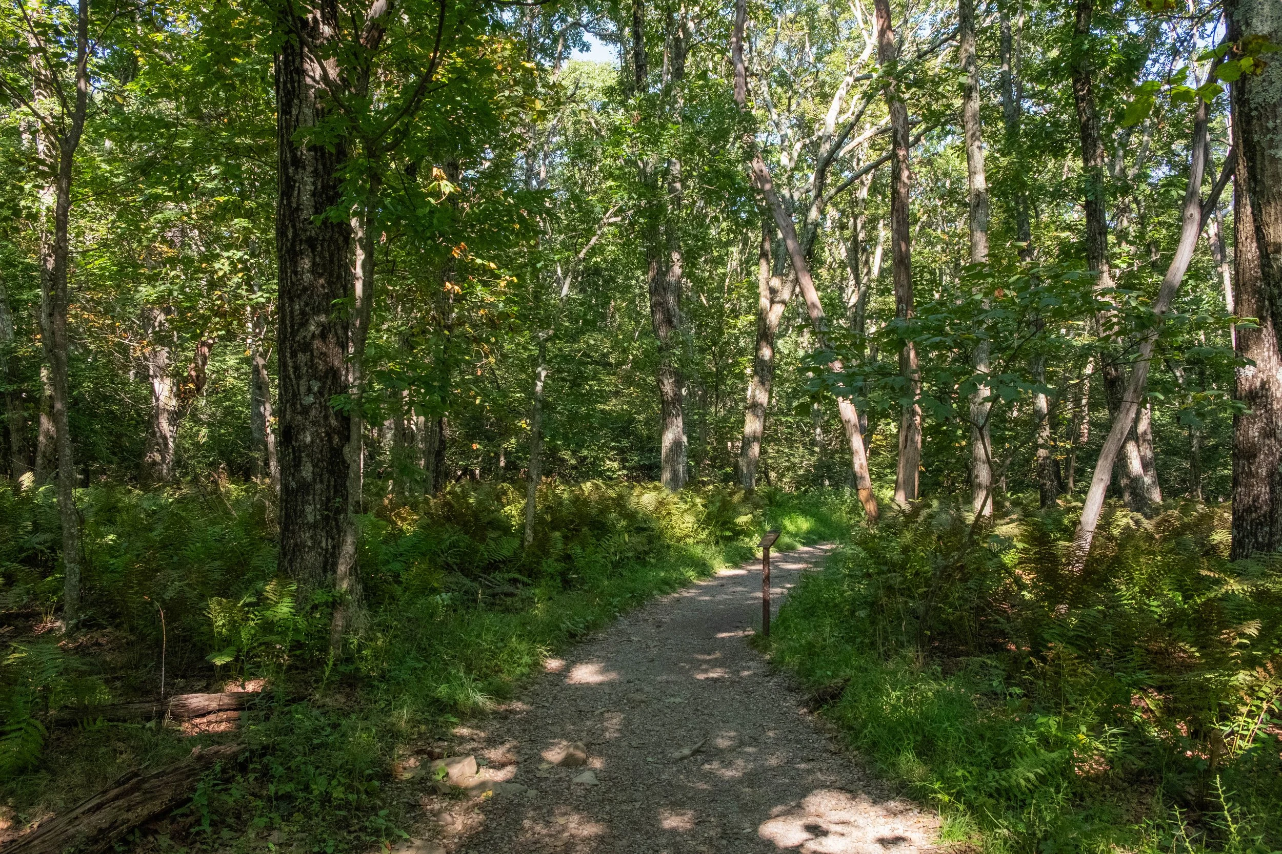 DSCF0402.jpg