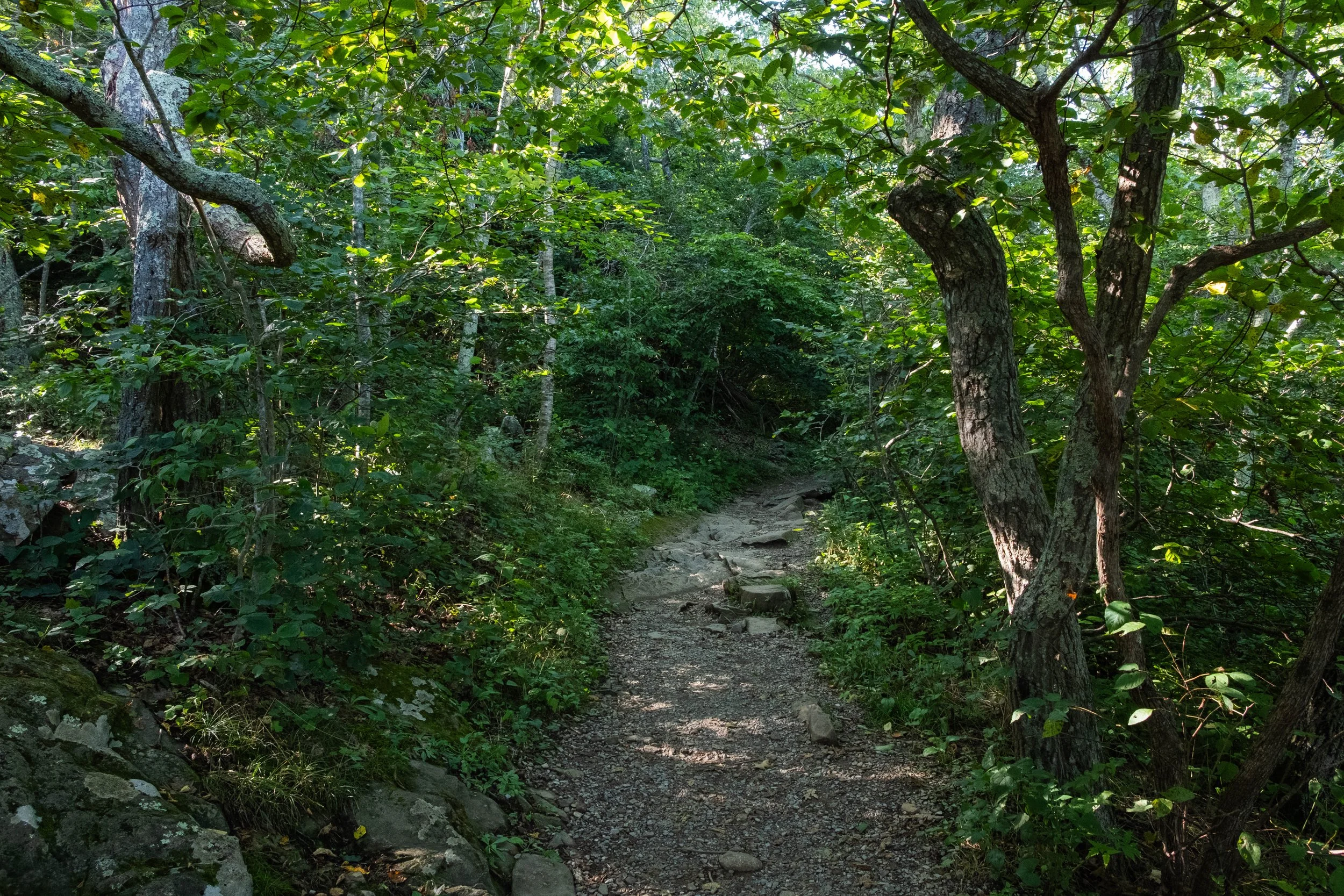 DSCF0410.jpg