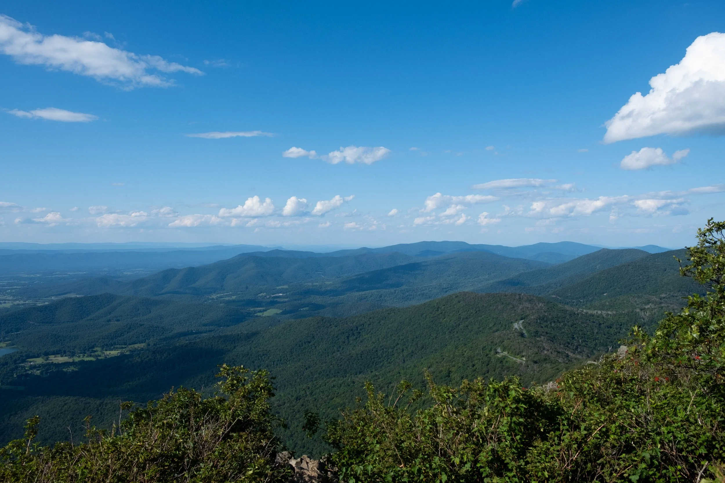 Shenandoah
