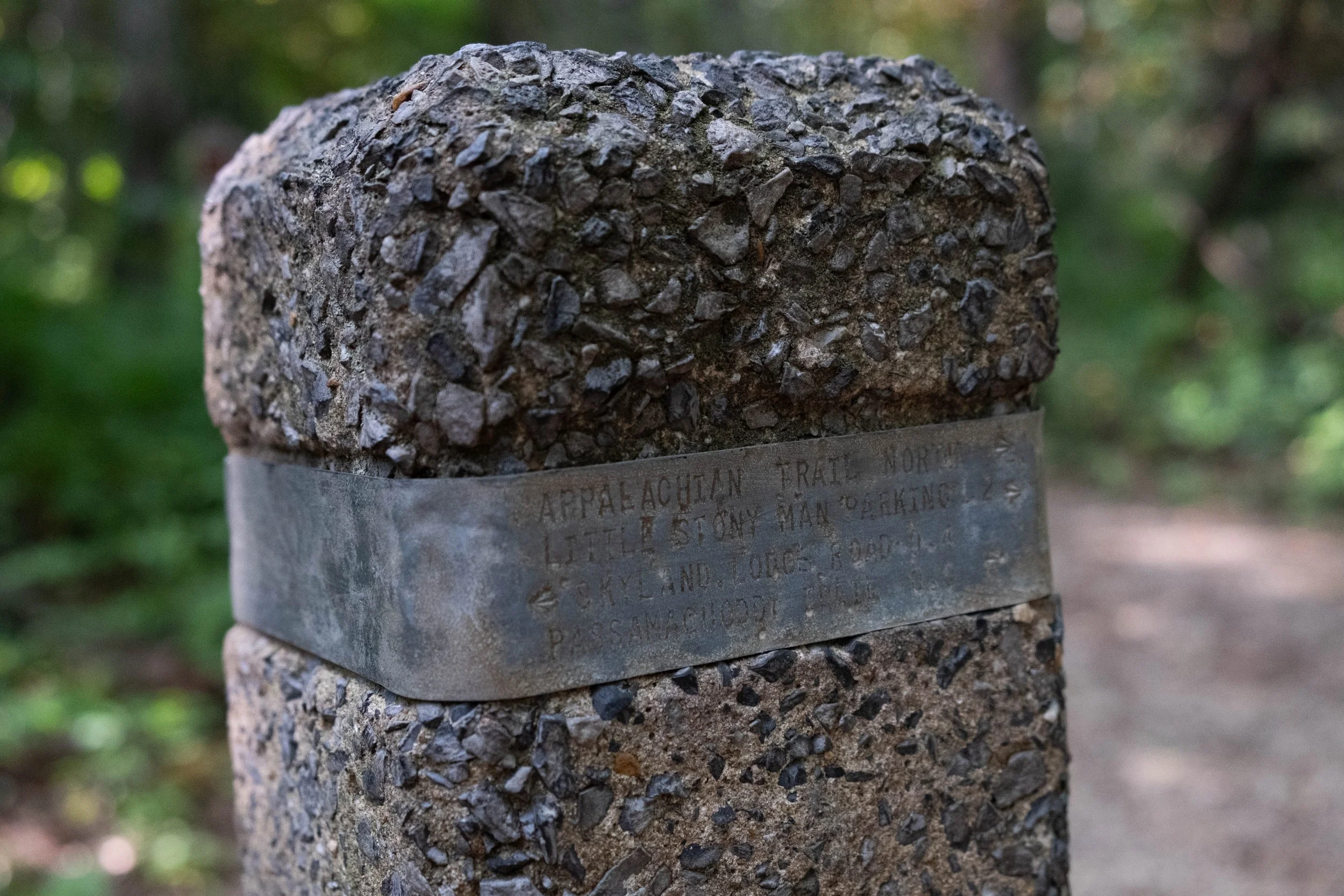 DSCF0429.jpg