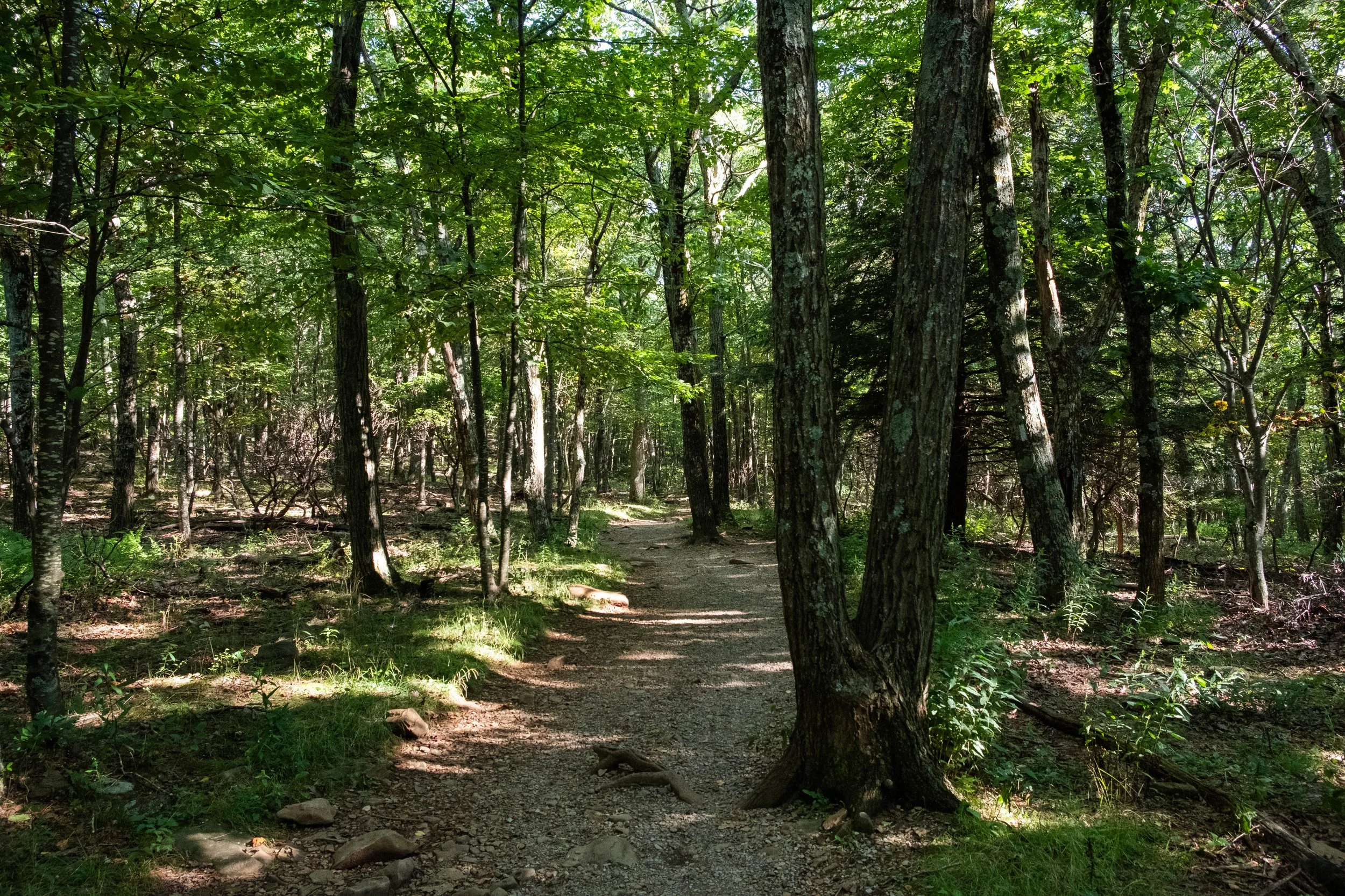 DSCF0430.jpg