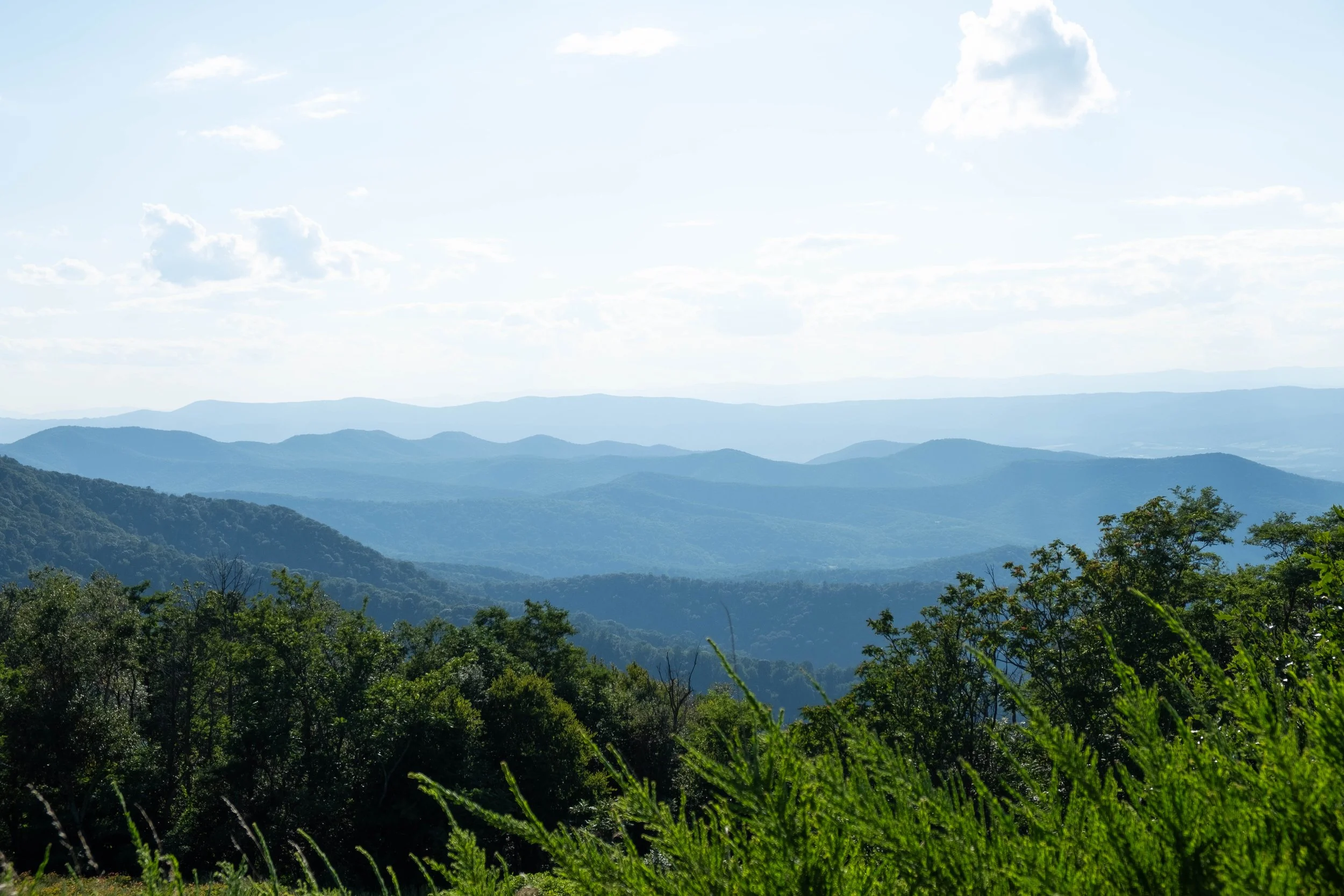 DSCF0443.jpg