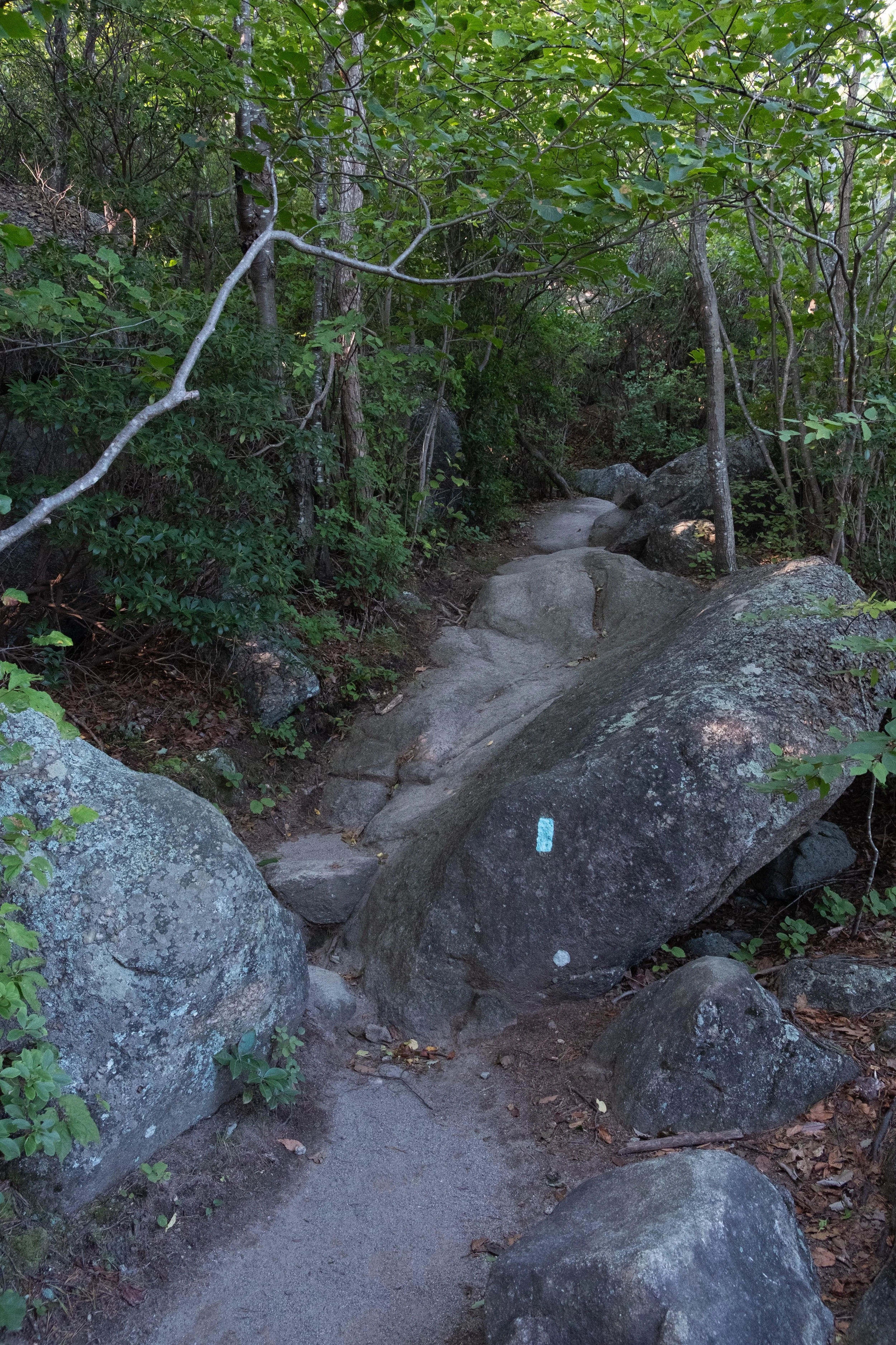 DSCF0511.jpg