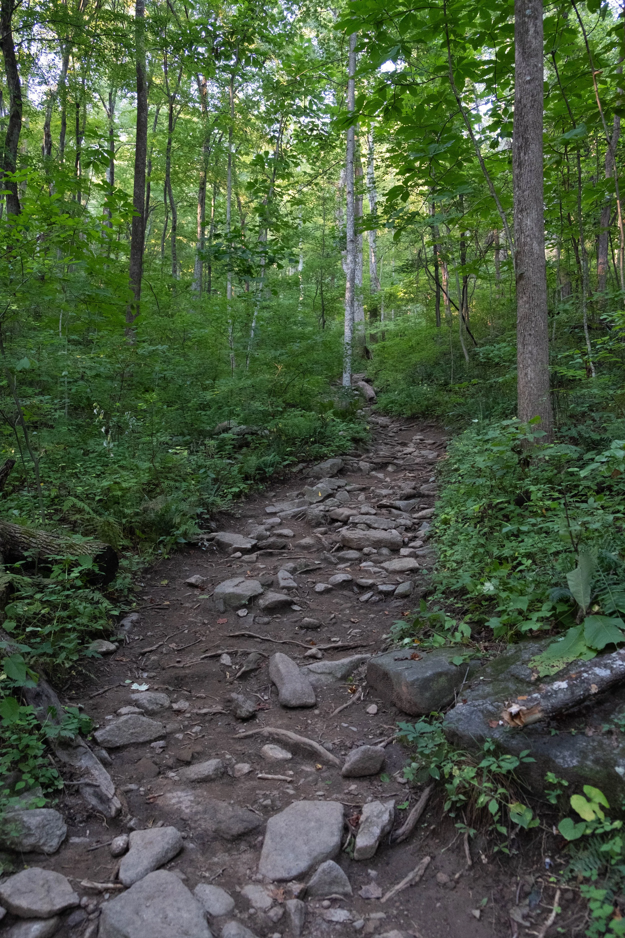 DSCF0507.jpg