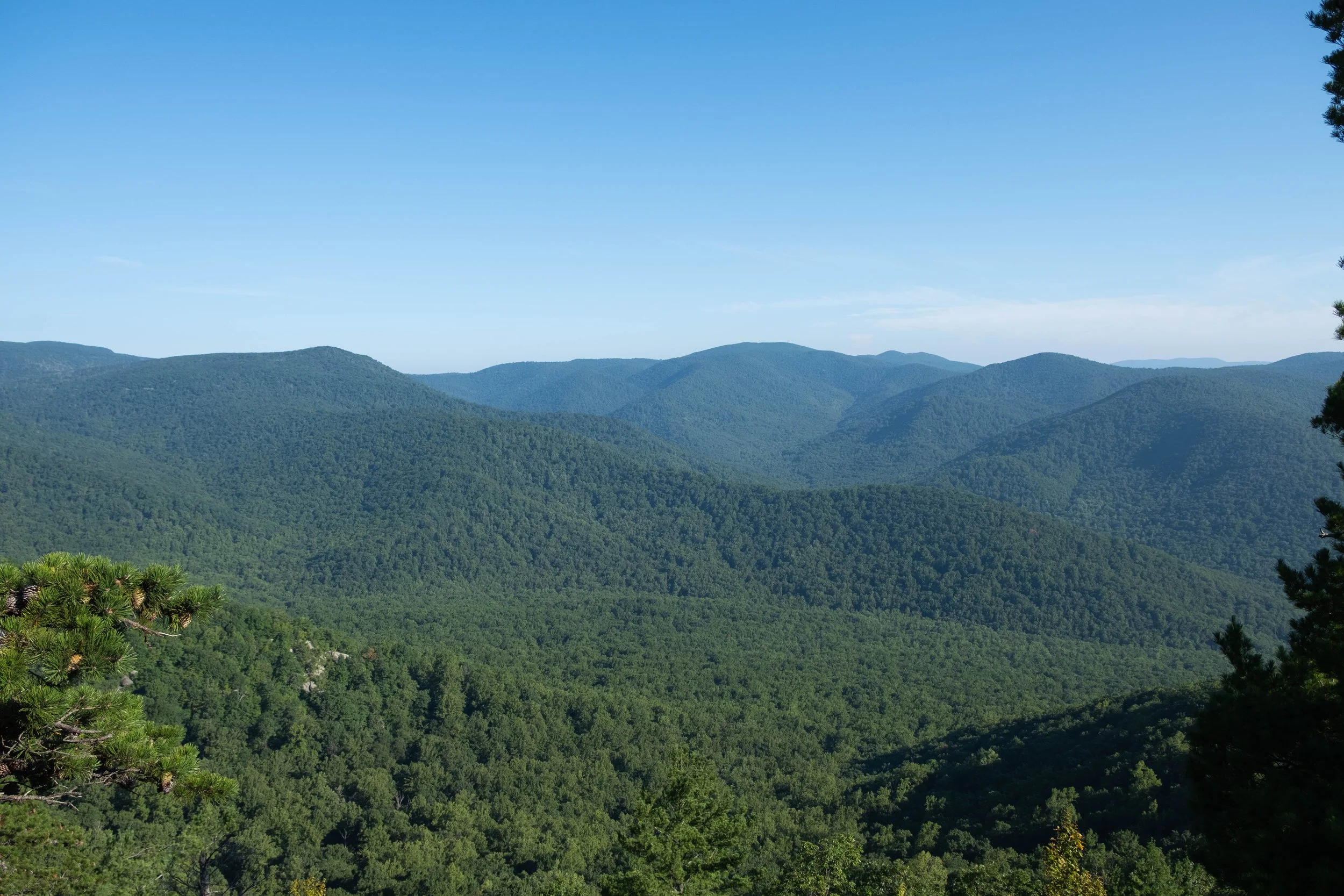 DSCF0513.jpg