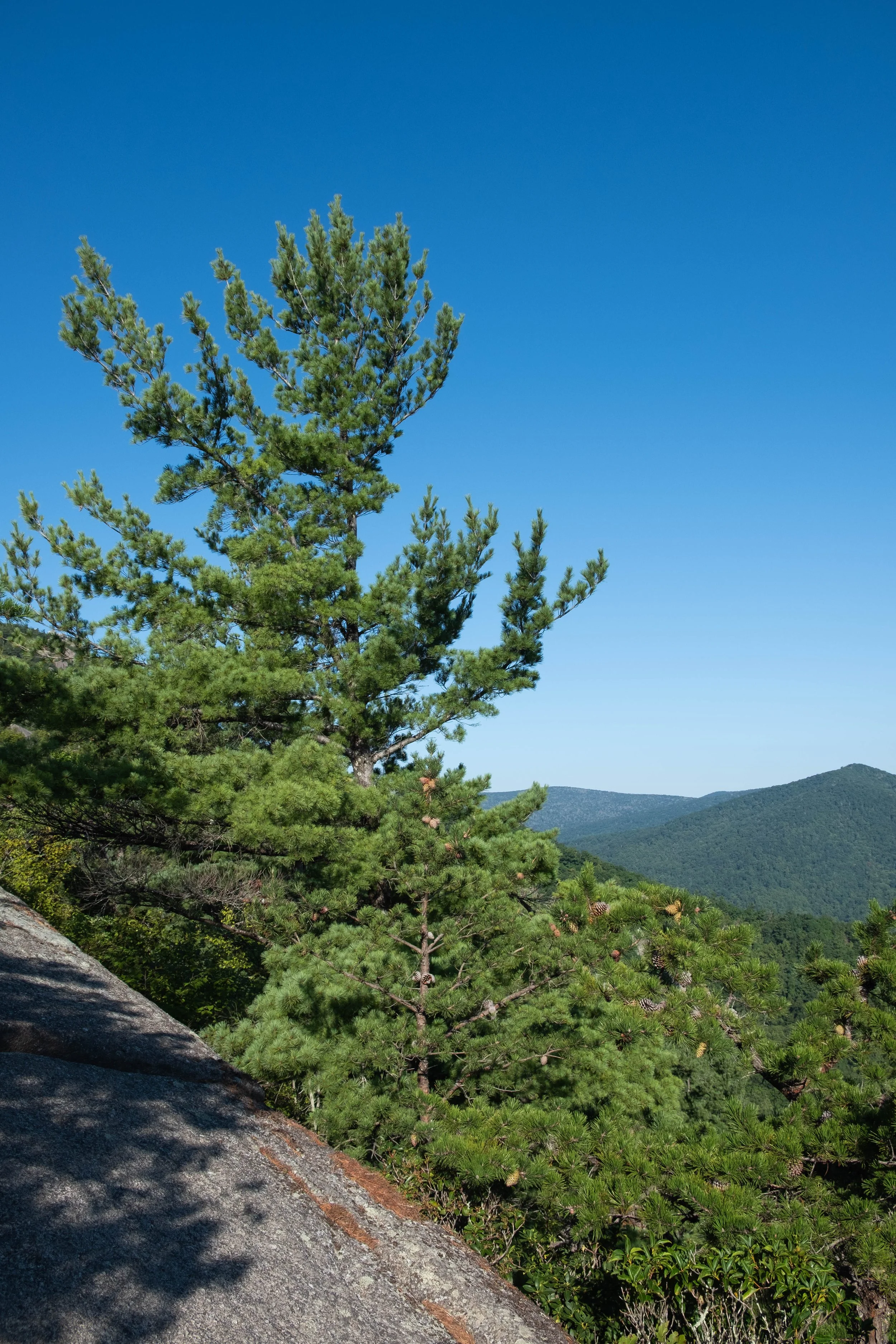 DSCF0514.jpg