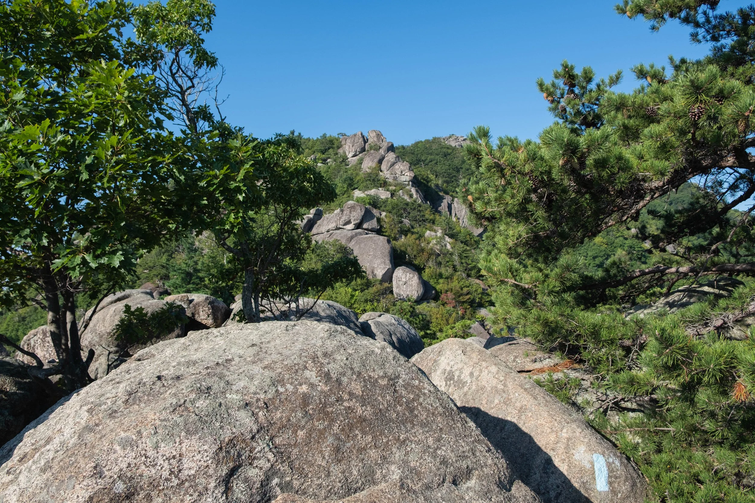 DSCF0516.jpg