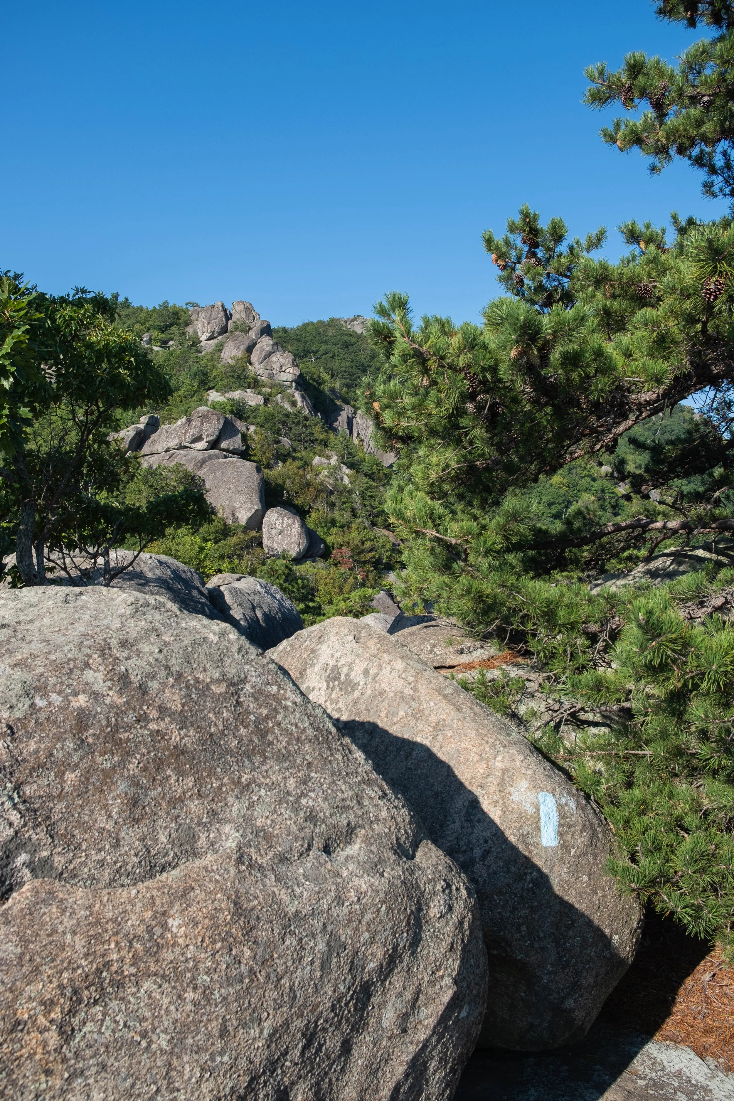 DSCF0517.jpg