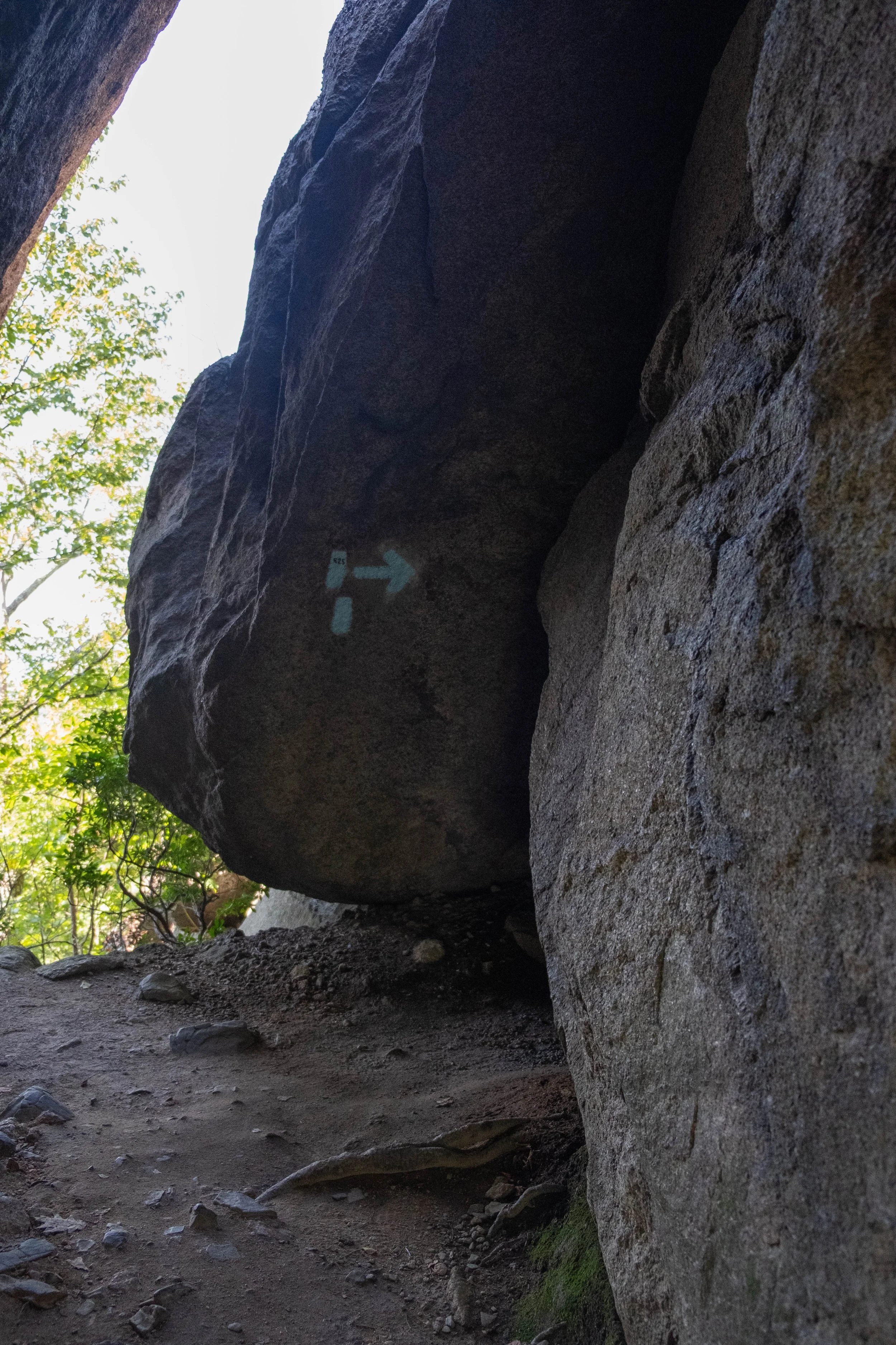 DSCF0518.jpg