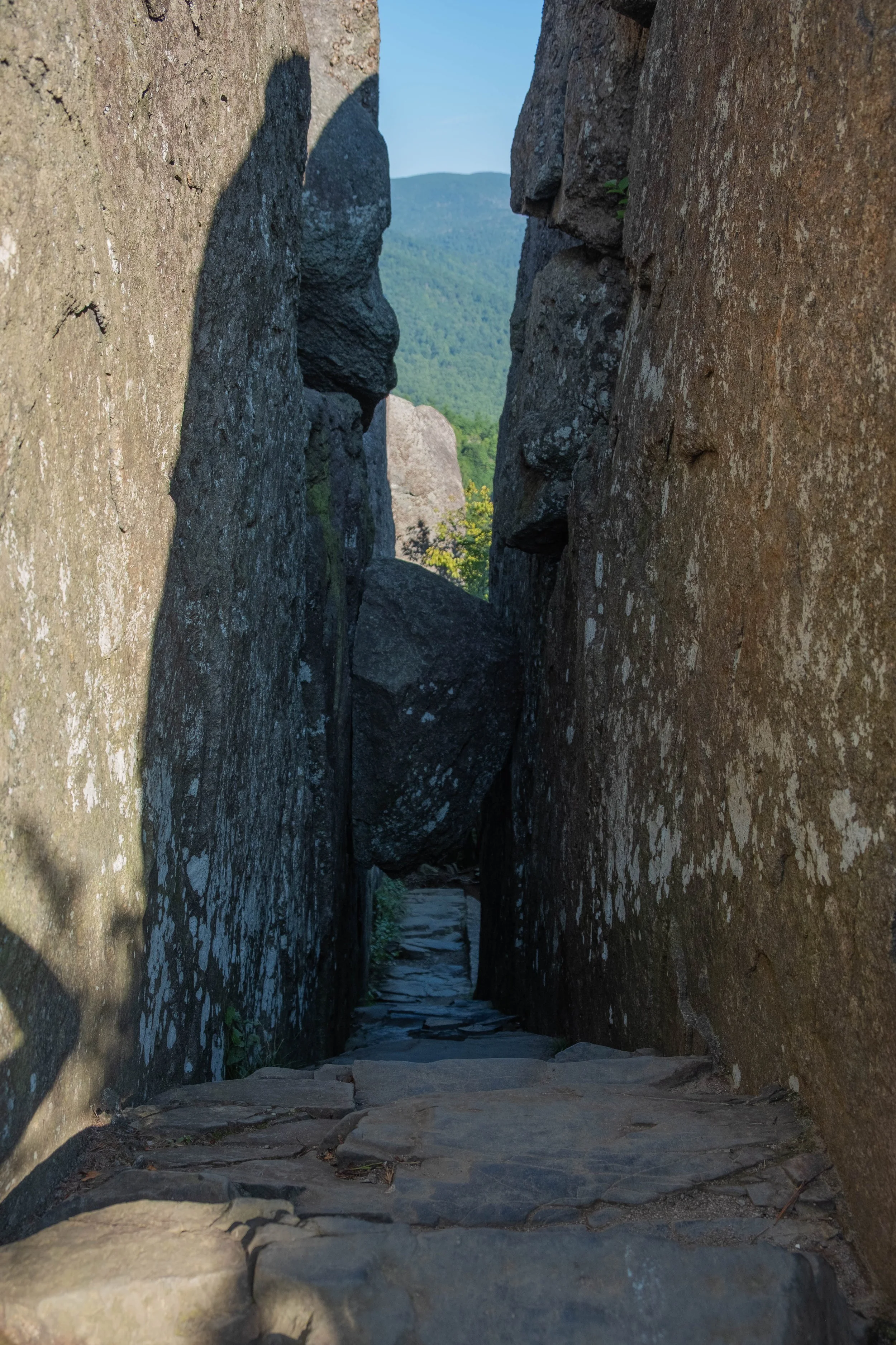DSCF0523.jpg