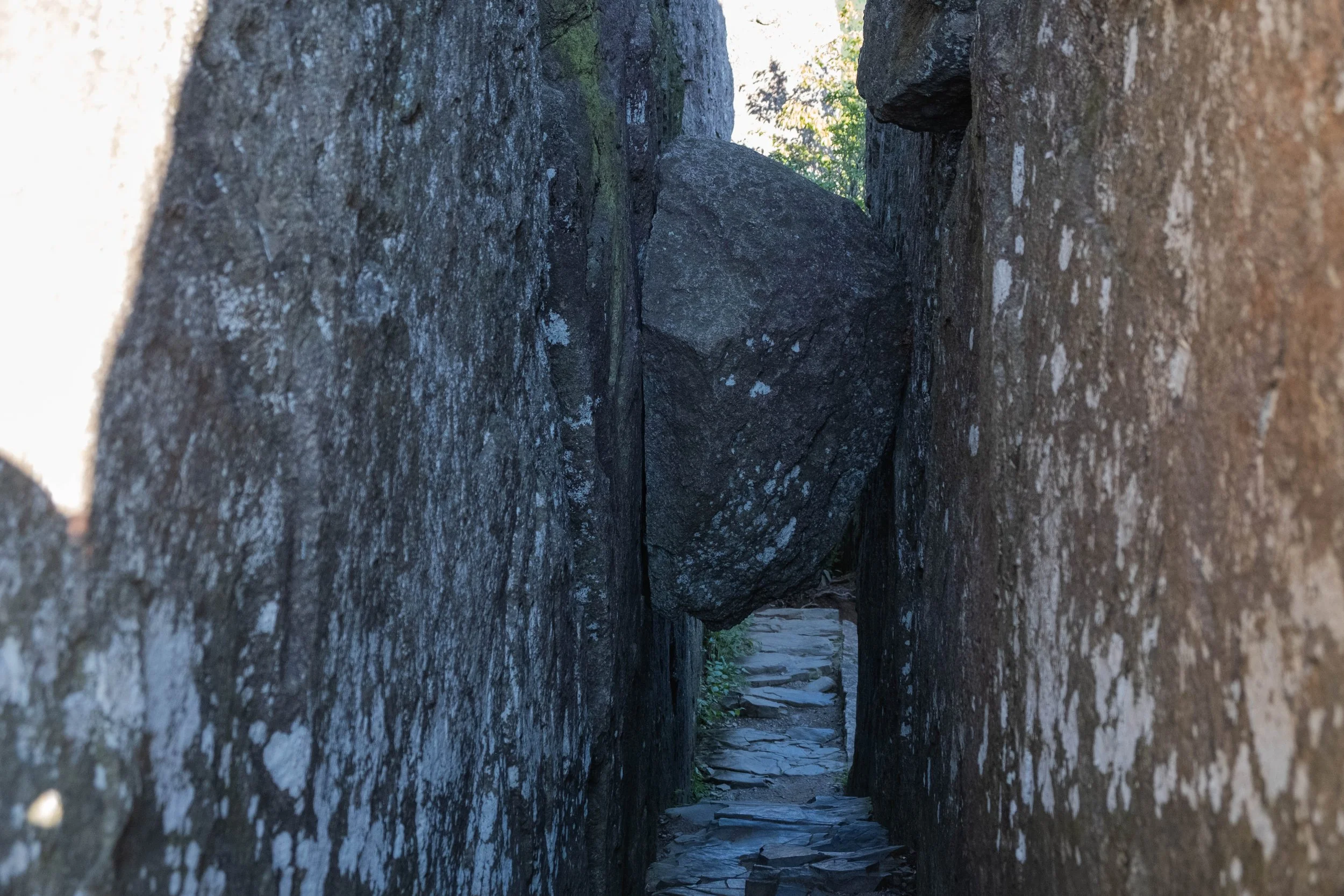 DSCF0524.jpg