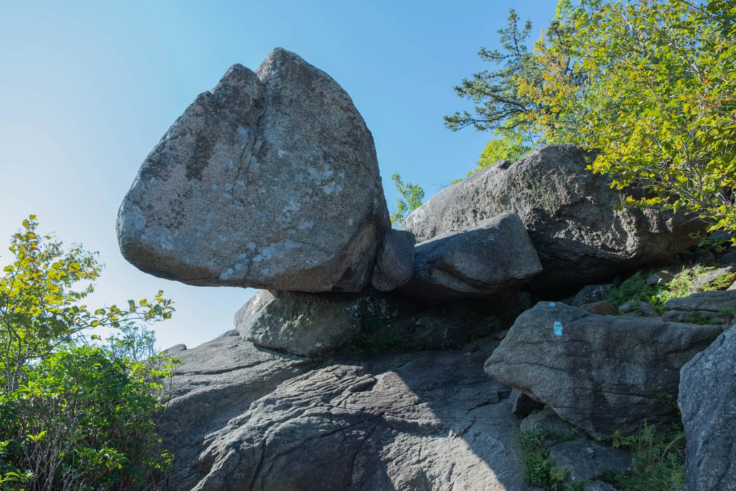 DSCF0525.jpg