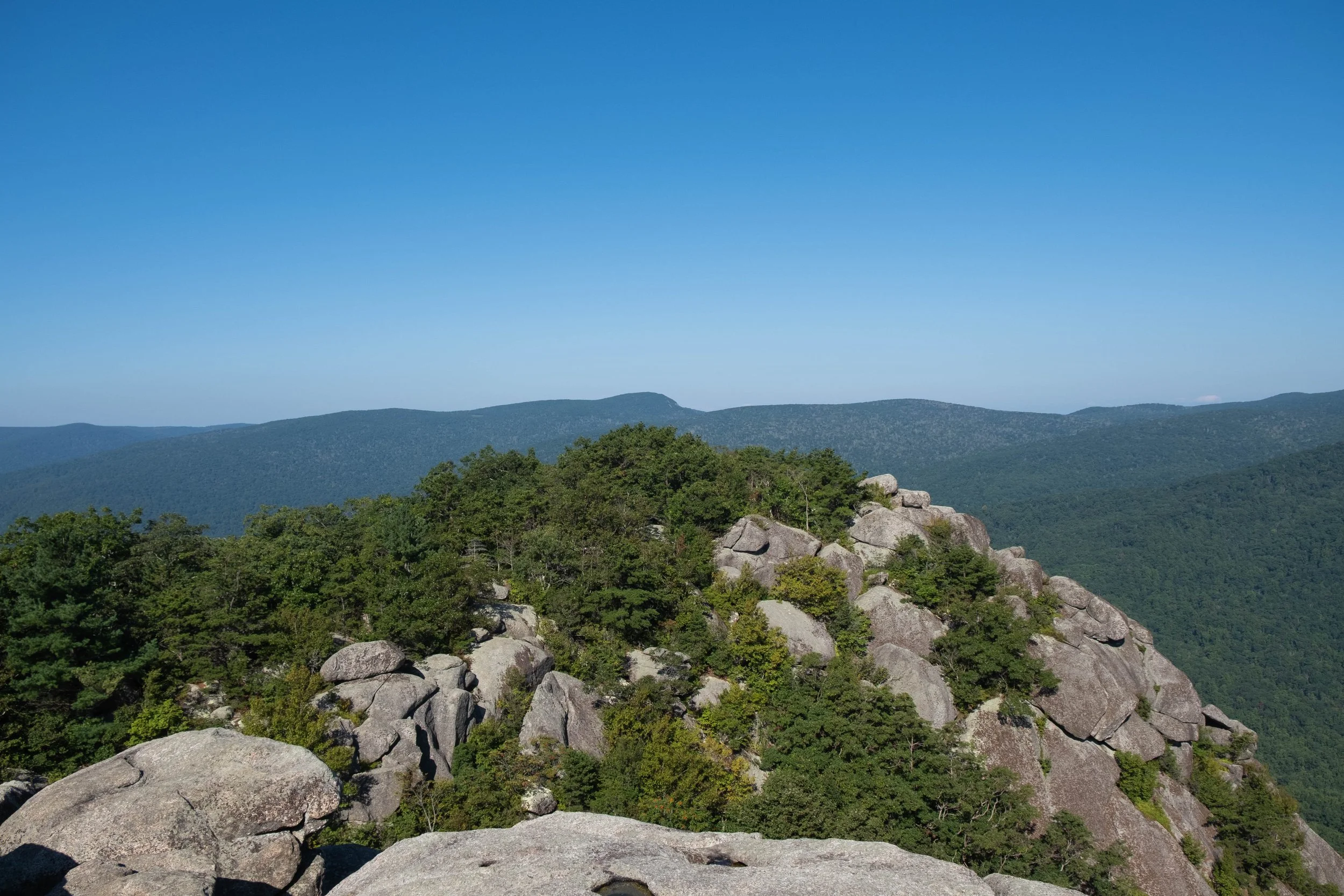 DSCF0537.jpg