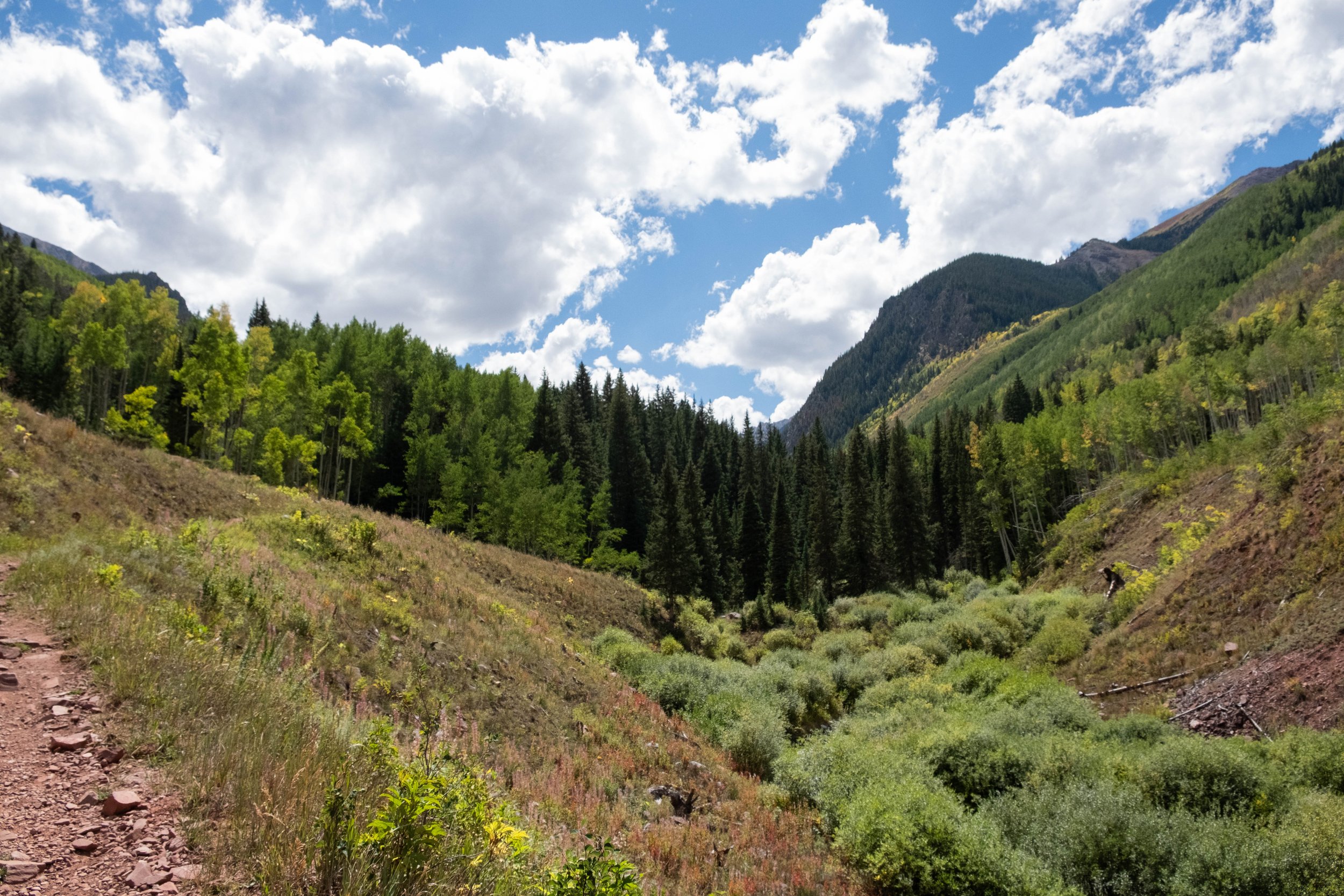 DSCF0575.jpg