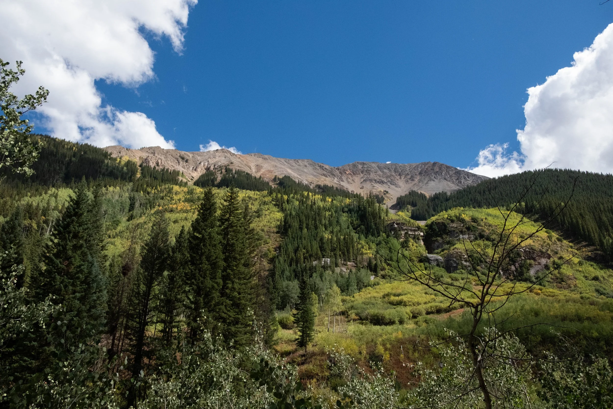 DSCF0578.jpg