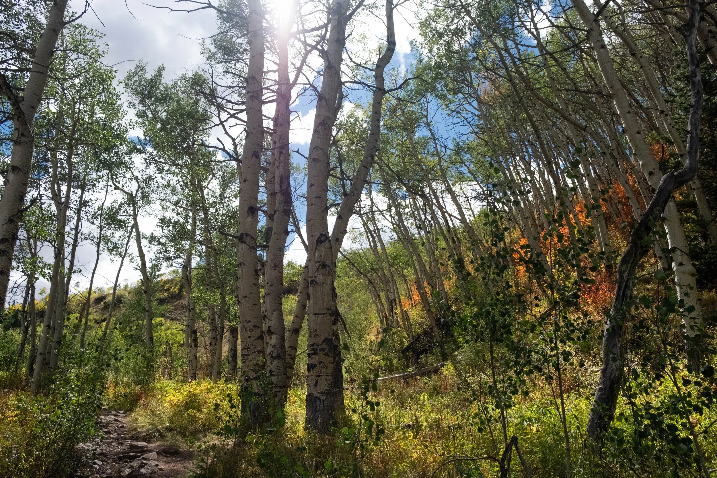 DSCF0580.jpg