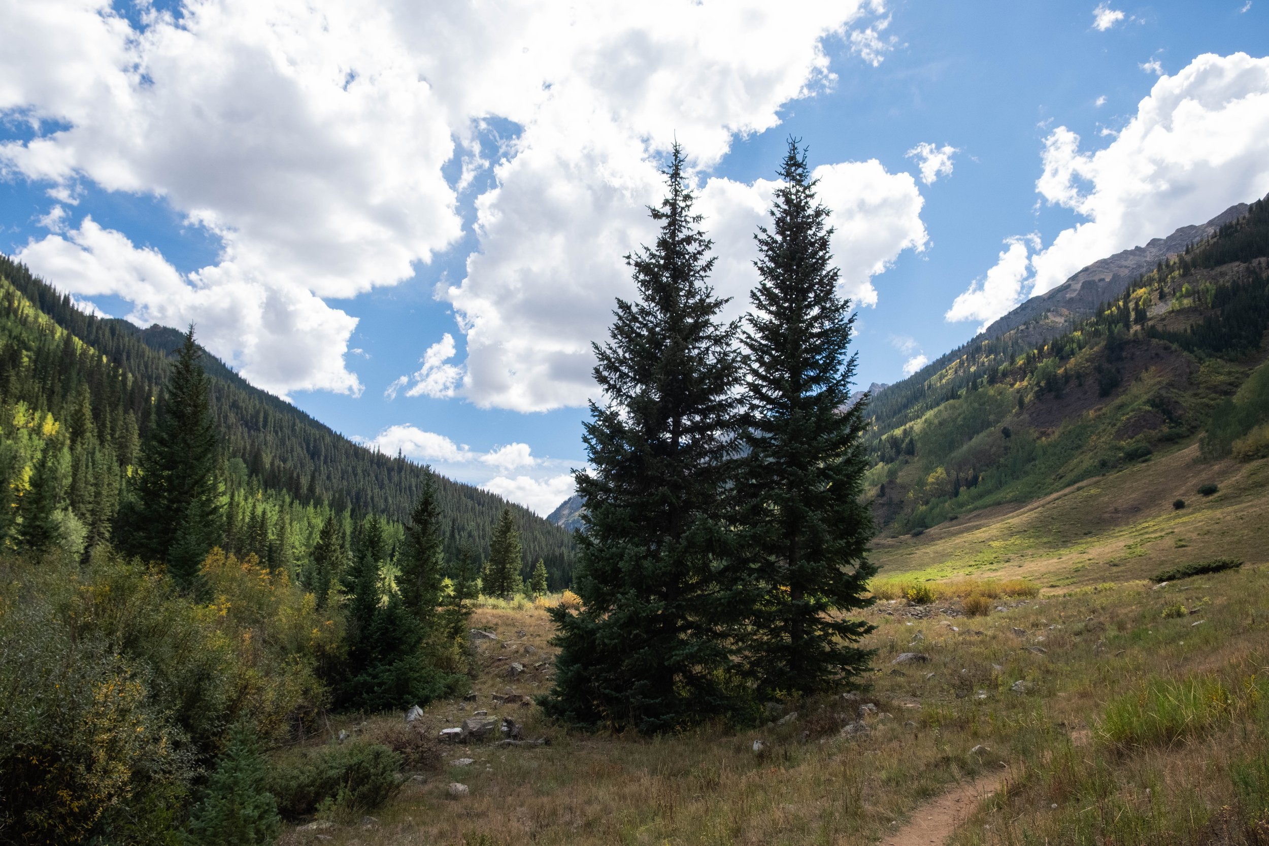 DSCF0585.jpg
