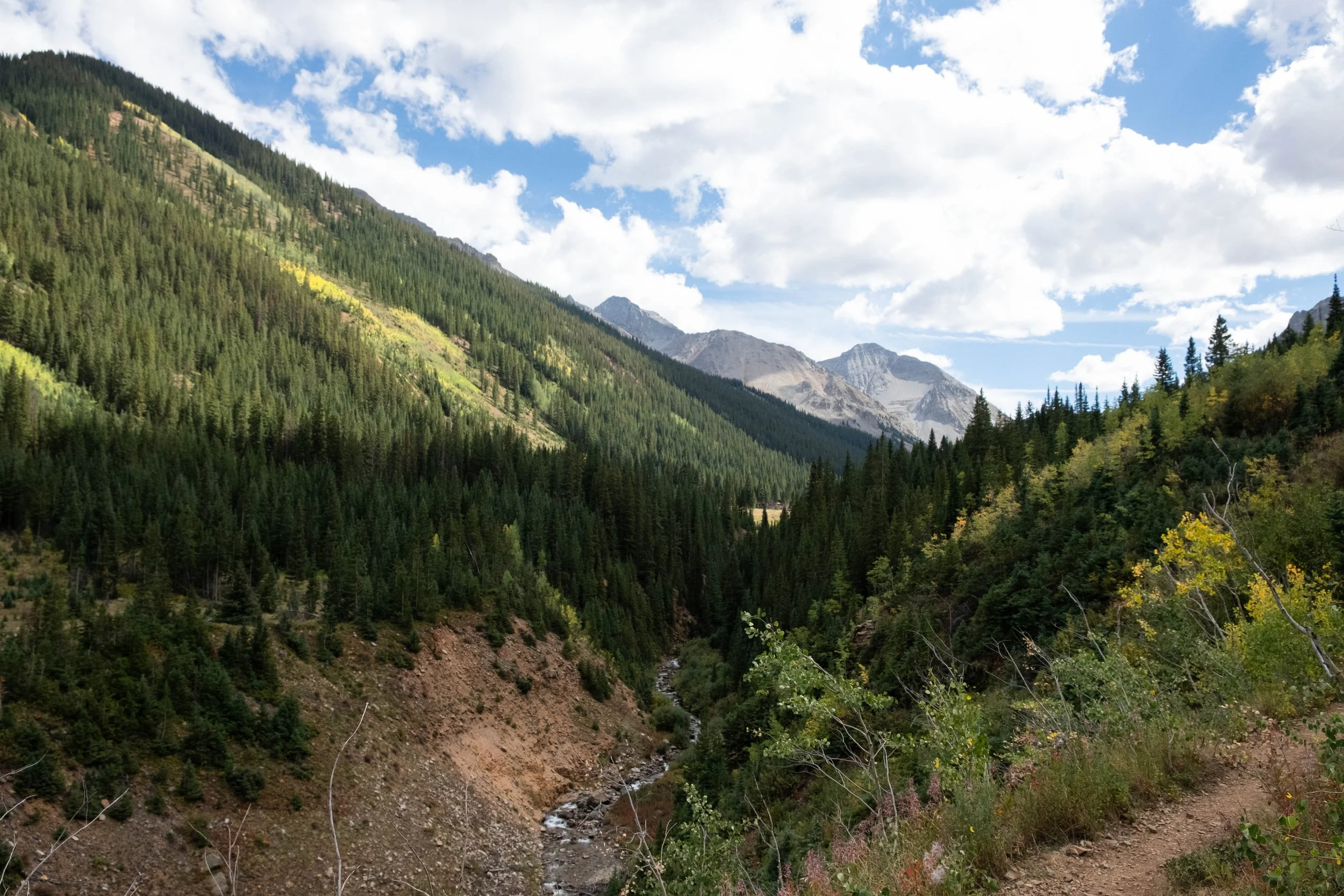 DSCF0588.jpg