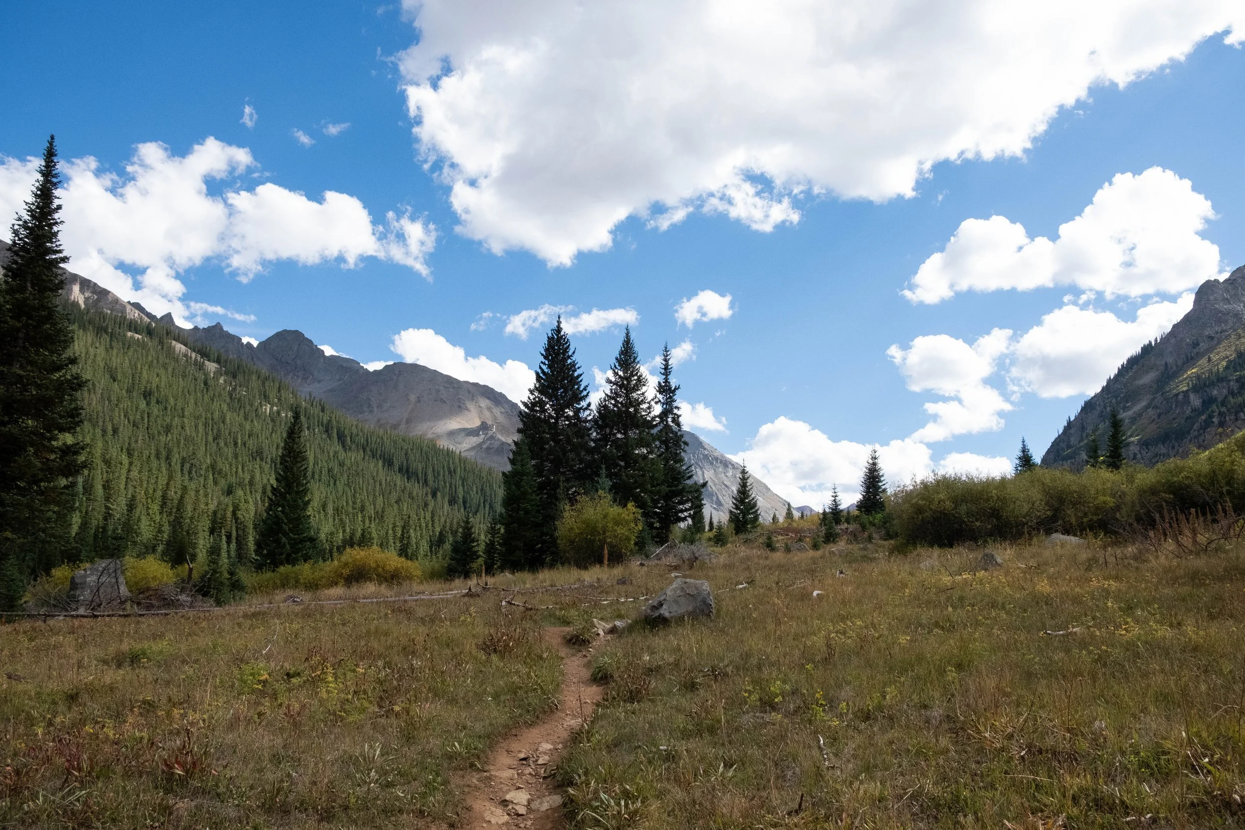 DSCF0591.jpg