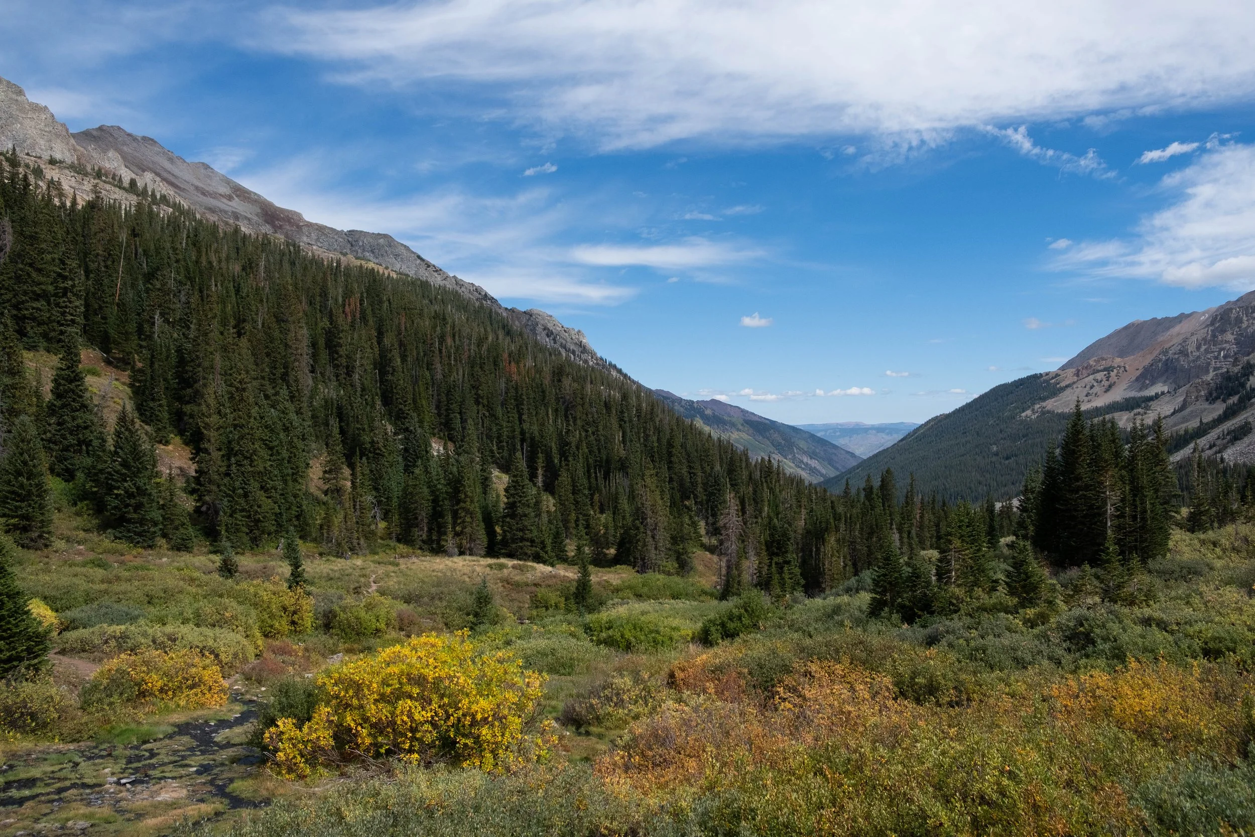 DSCF0612.jpg