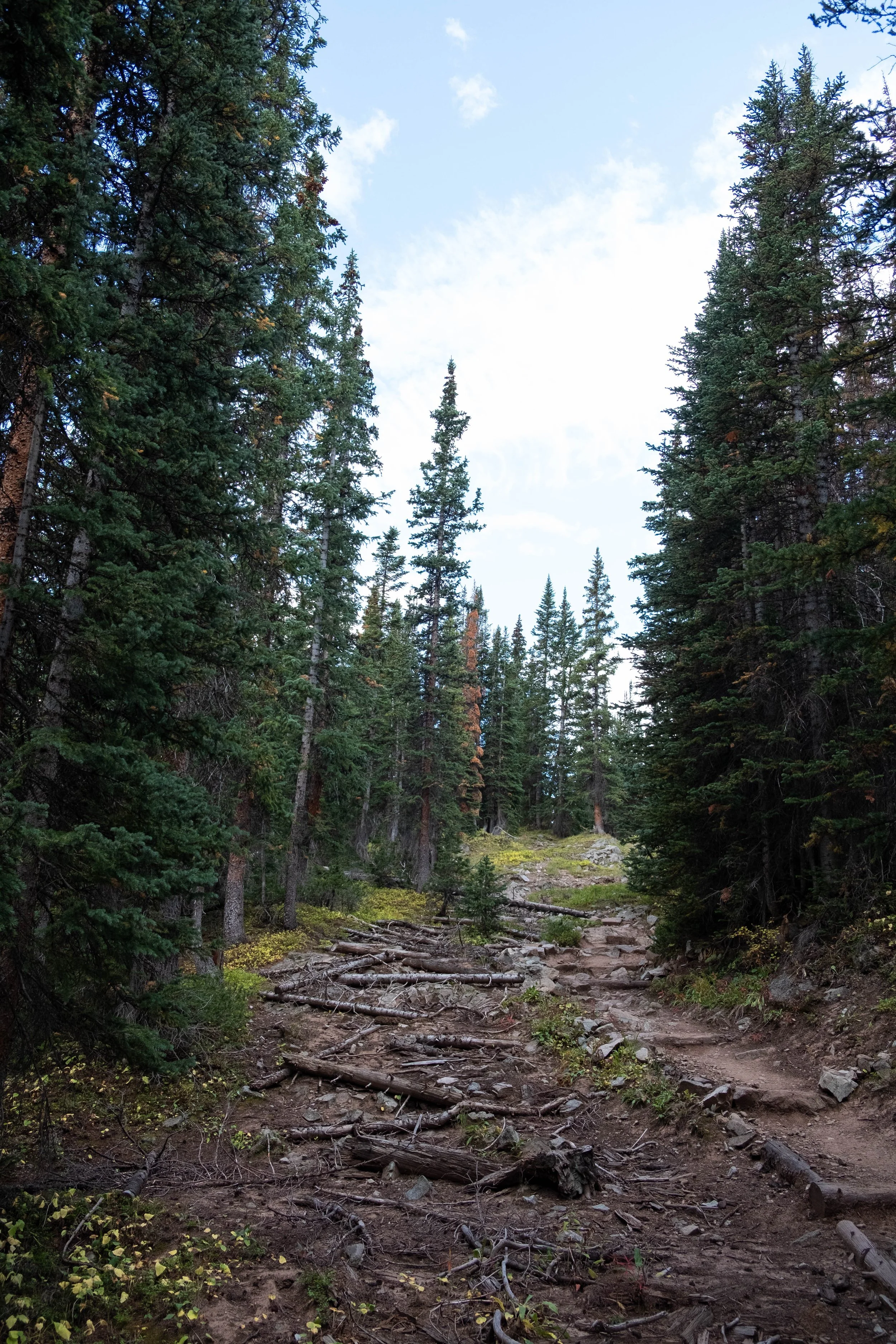 DSCF0615.jpg