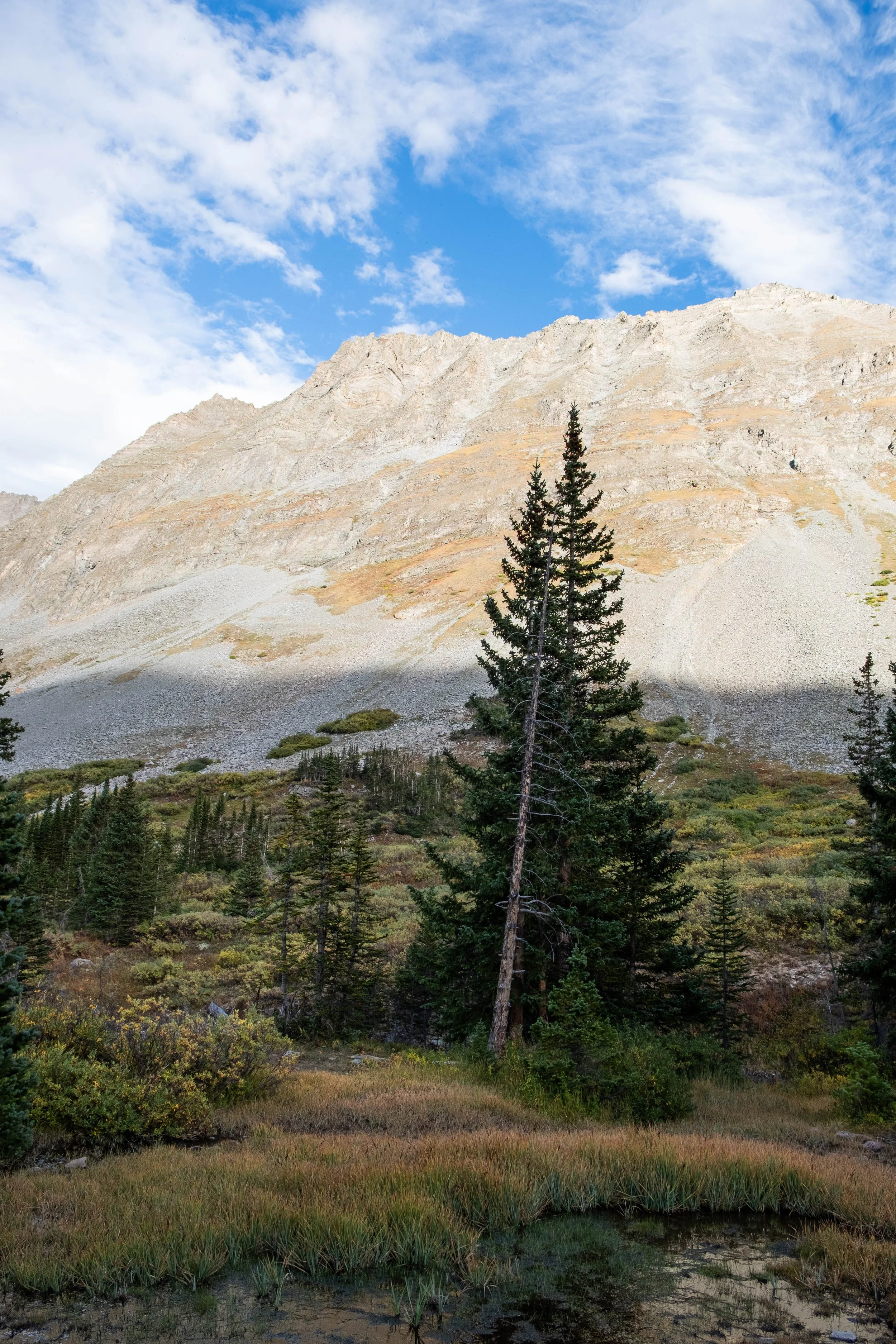 DSCF0618.jpg