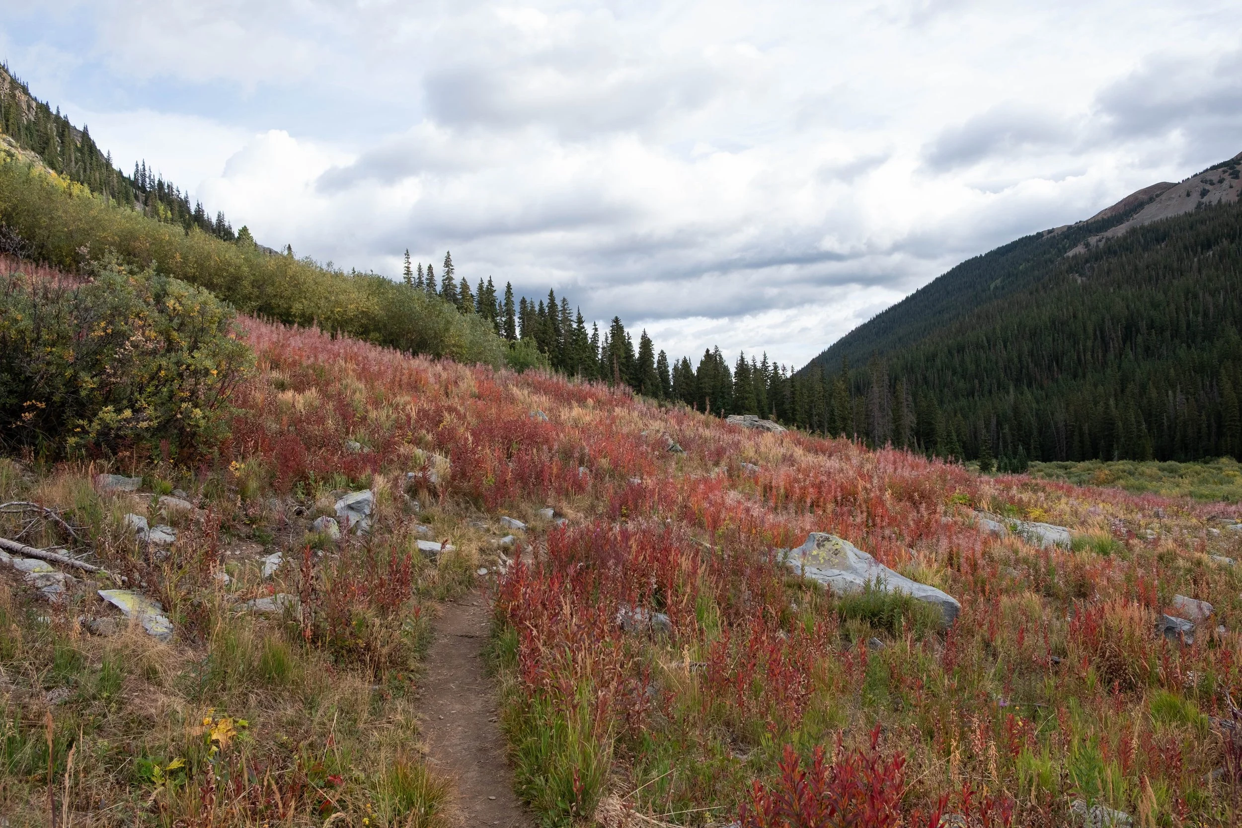 DSCF0624.jpg