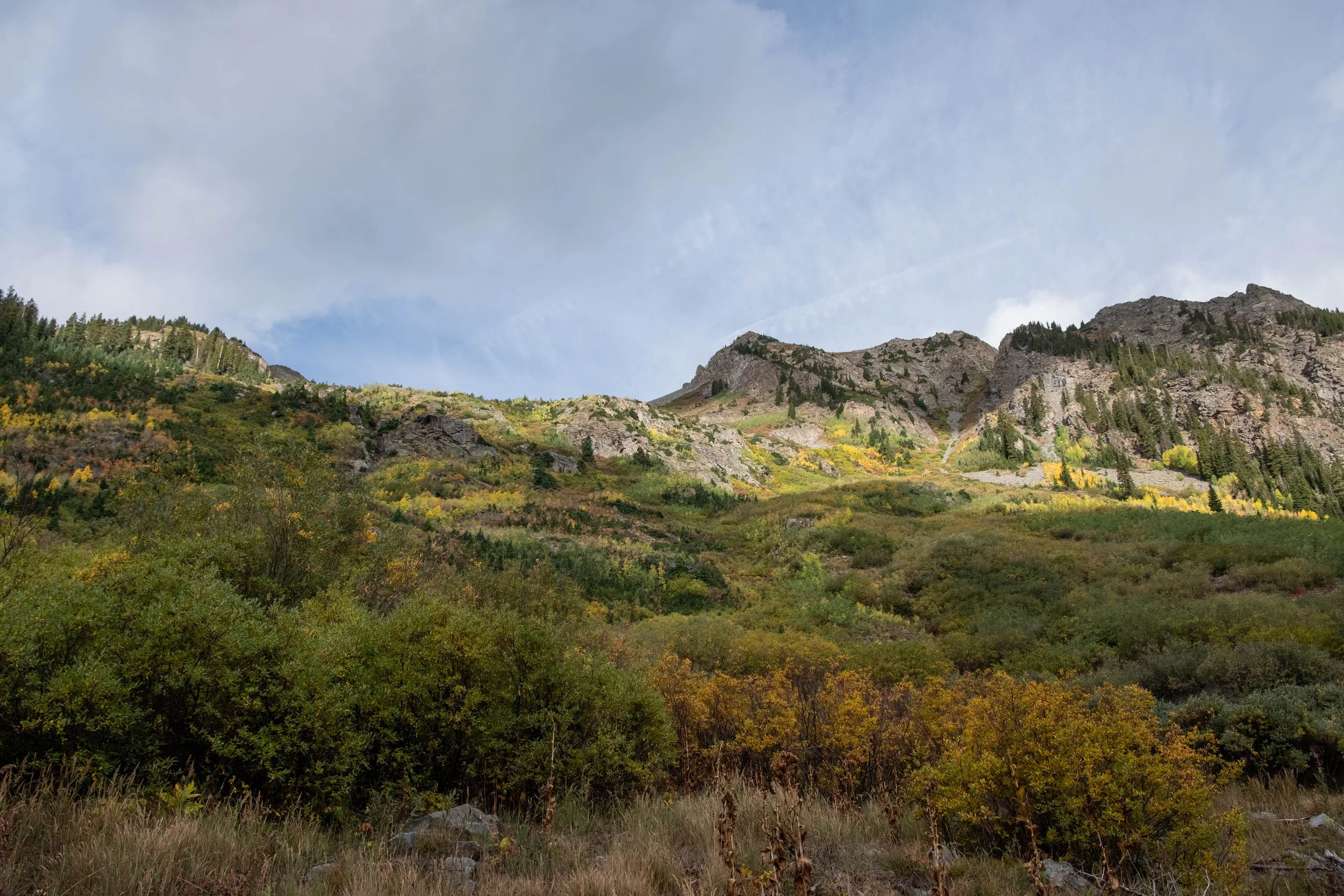DSCF0627.jpg