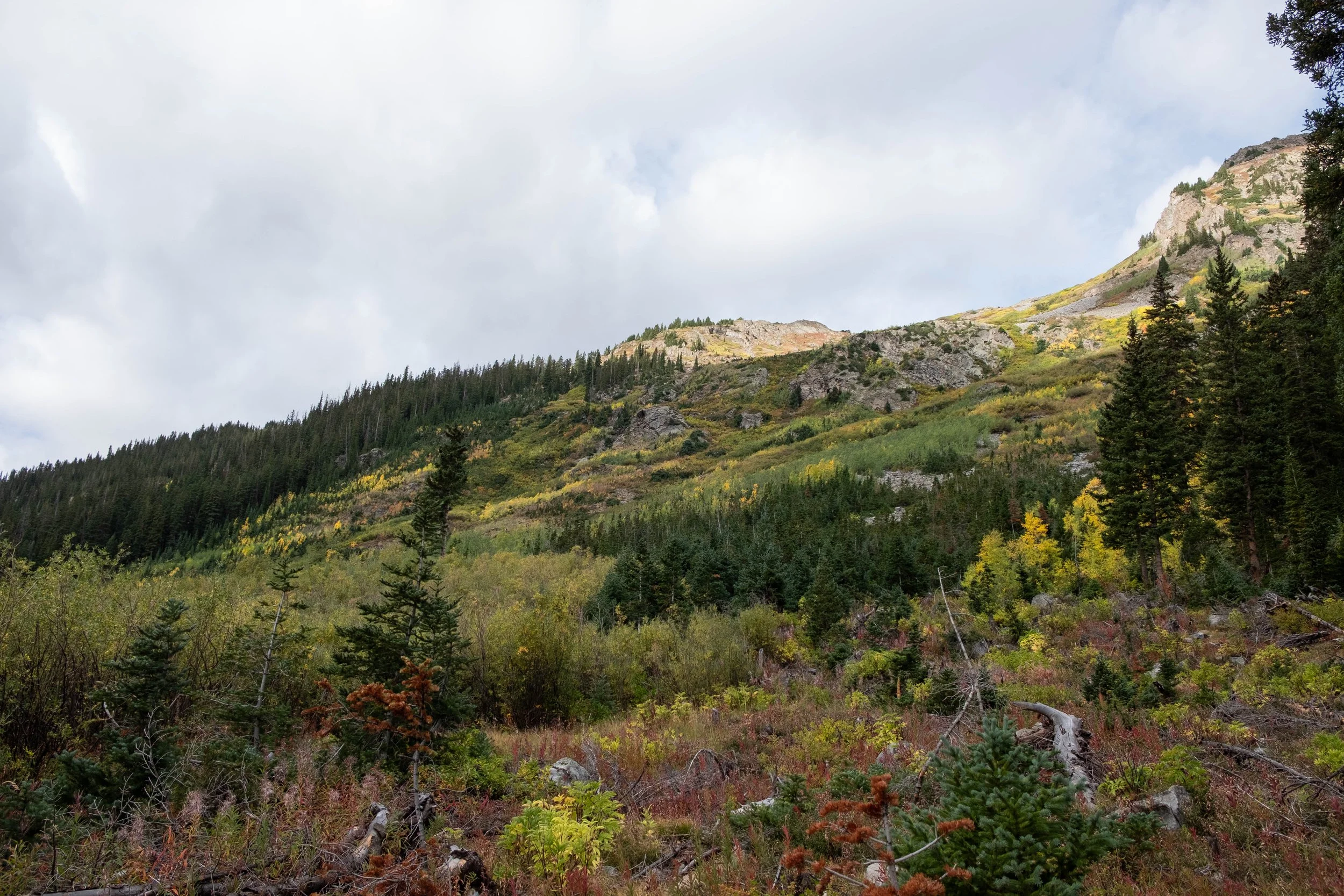 DSCF0628.jpg