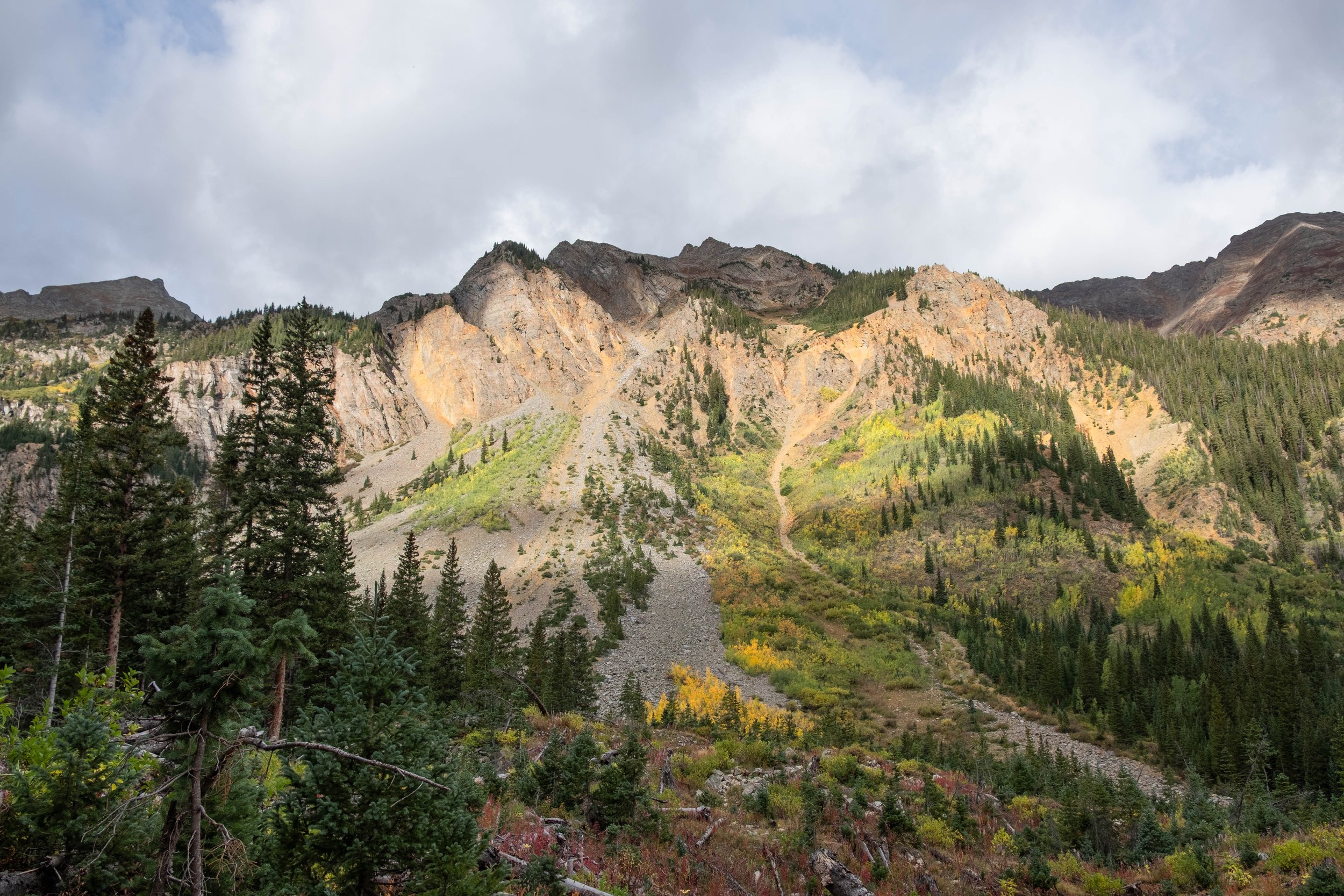 DSCF0630.jpg