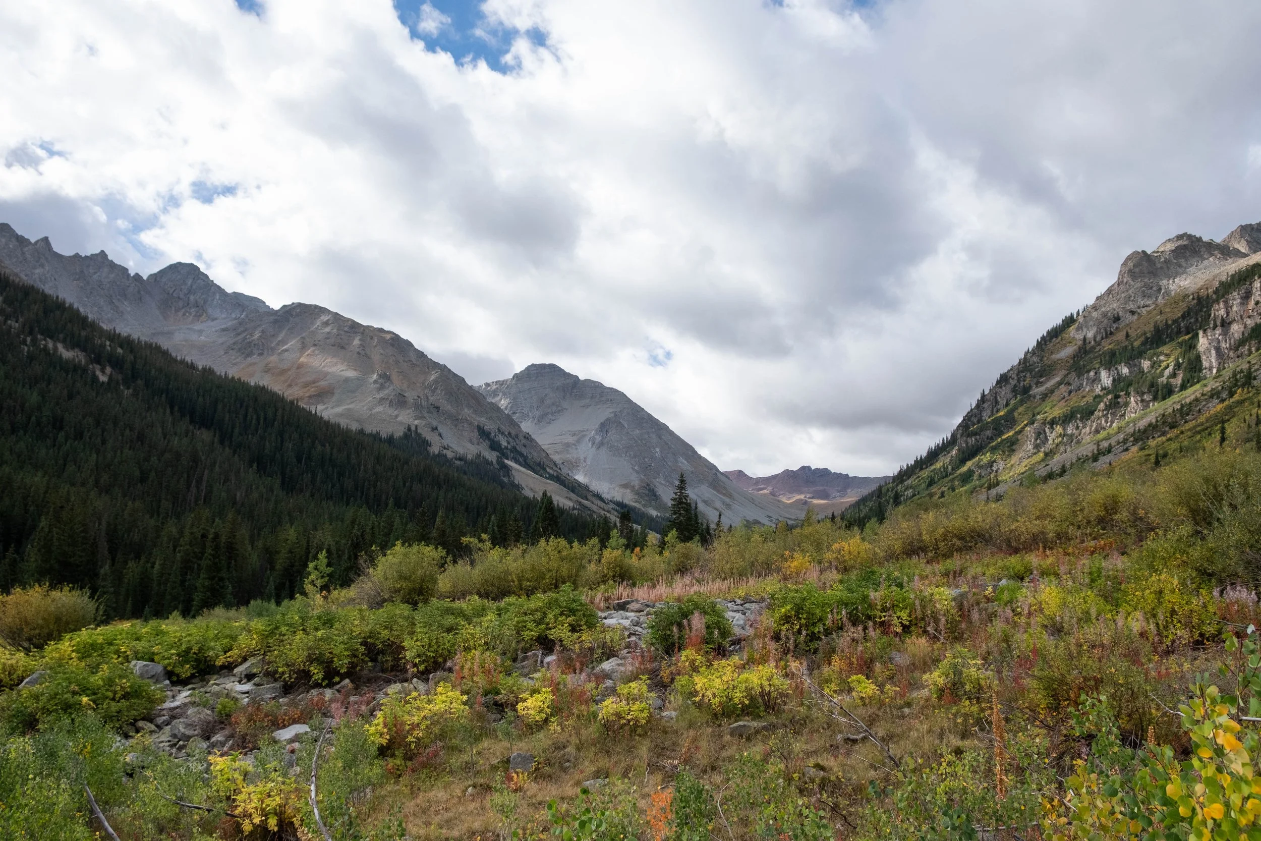 DSCF0636.jpg