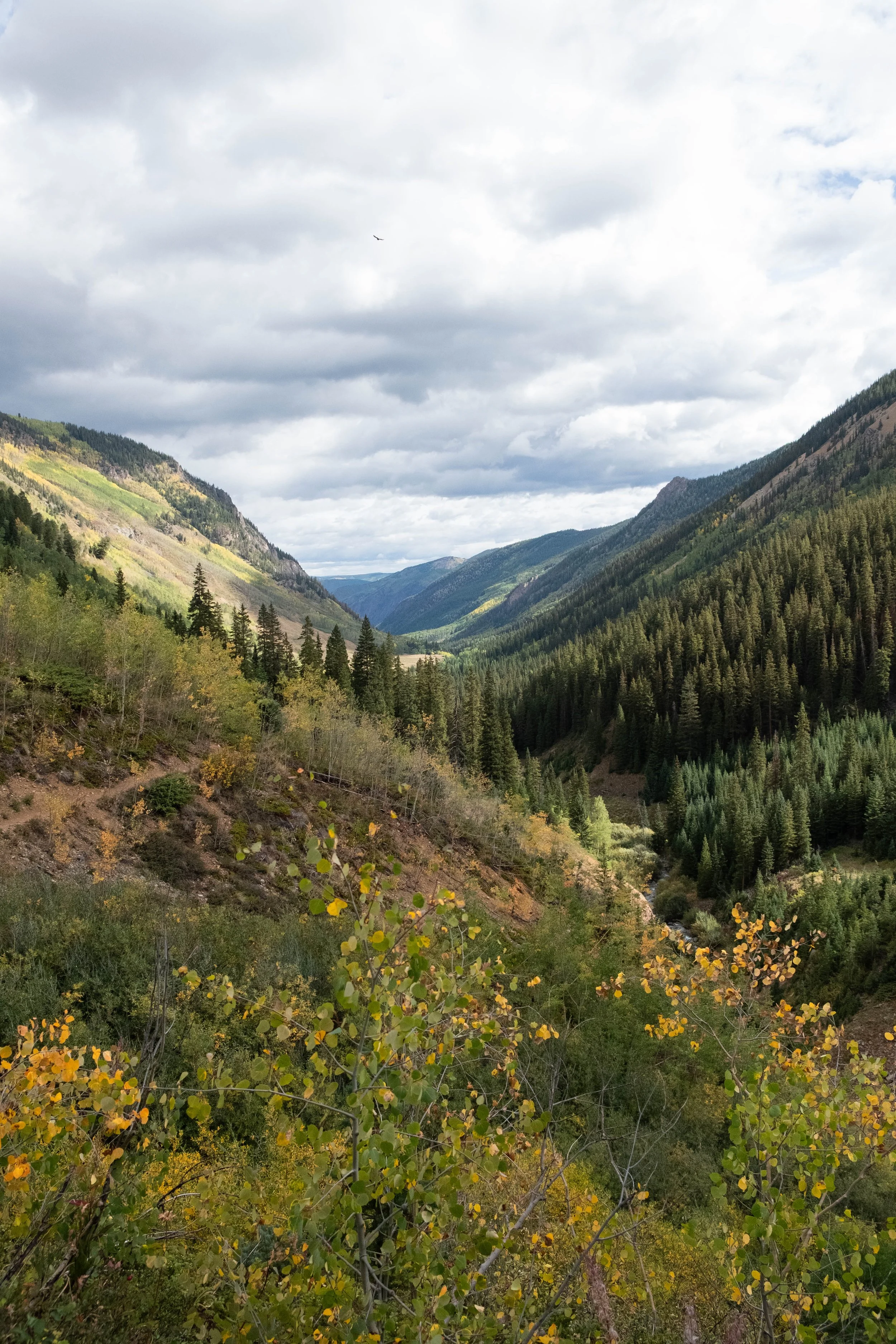 DSCF0641.jpg